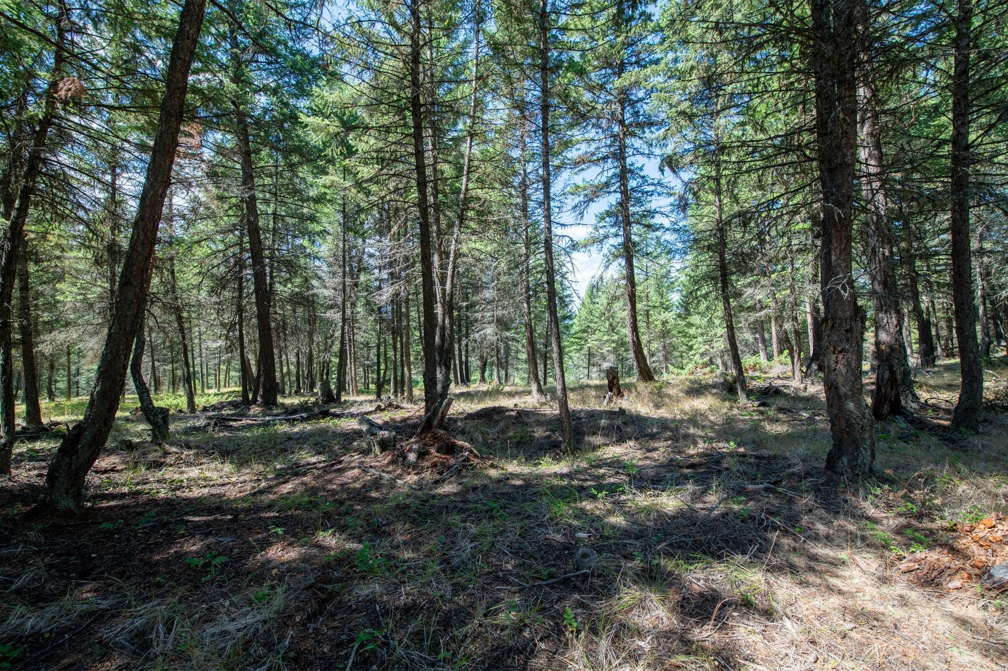 5.467 Acres Sinclair Creek Road