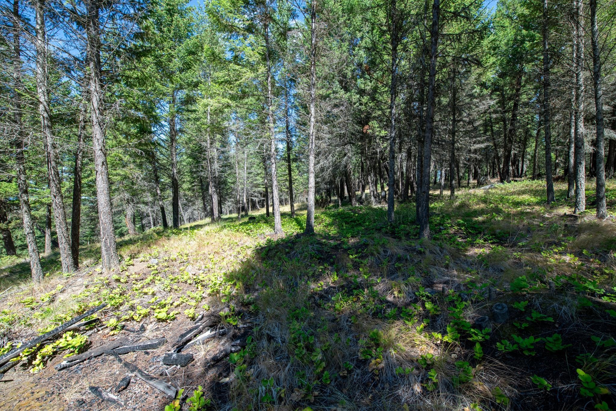 5.467 Acres Sinclair Creek Road