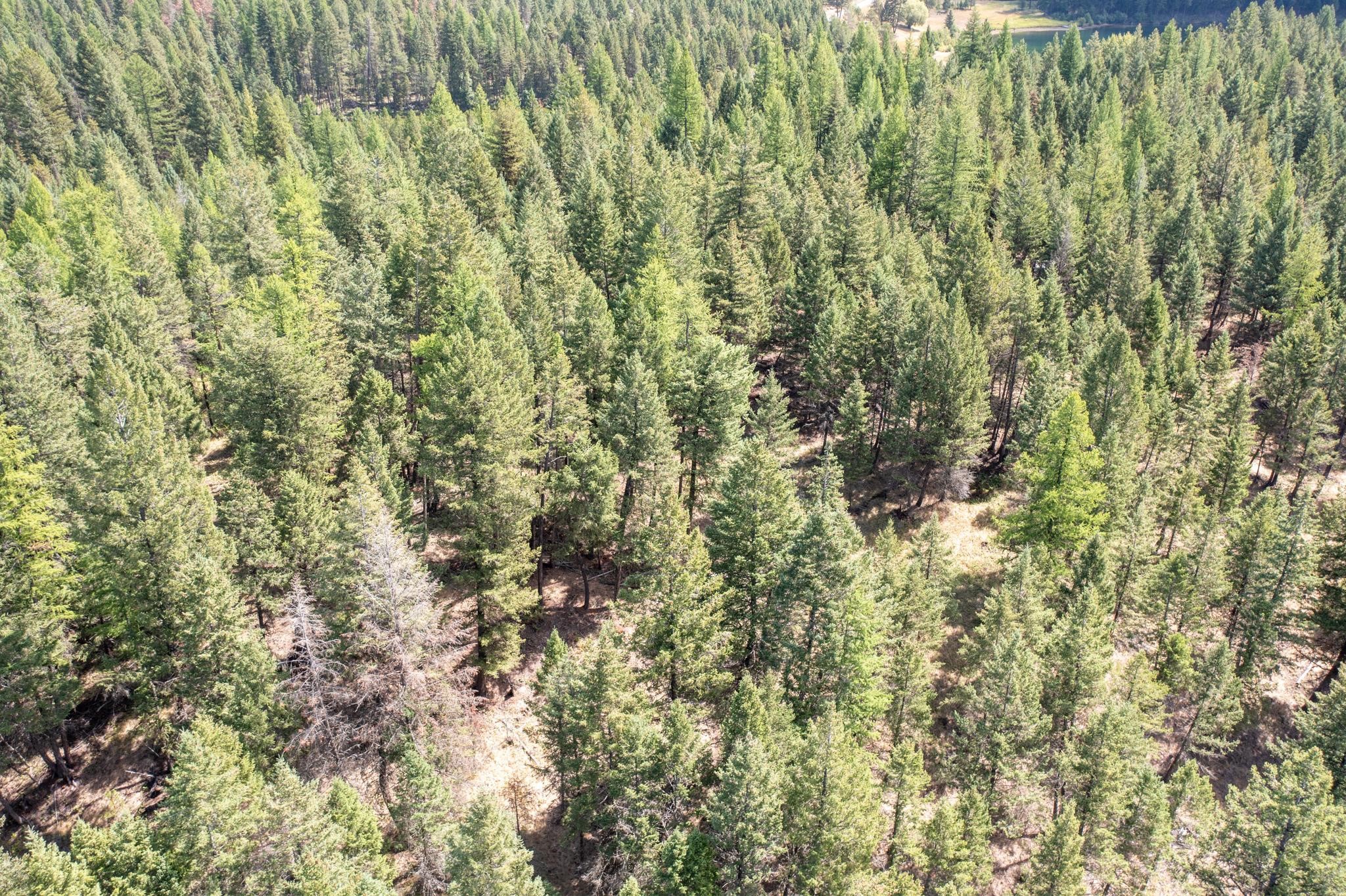 5.467 Acres Sinclair Creek Road