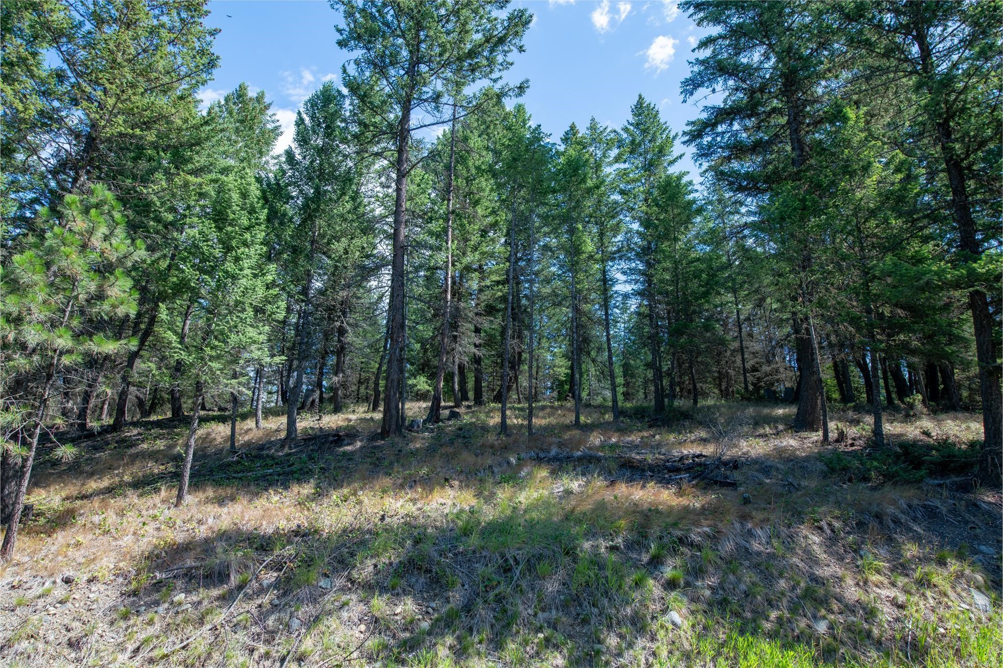 5.467 Acres Sinclair Creek Road