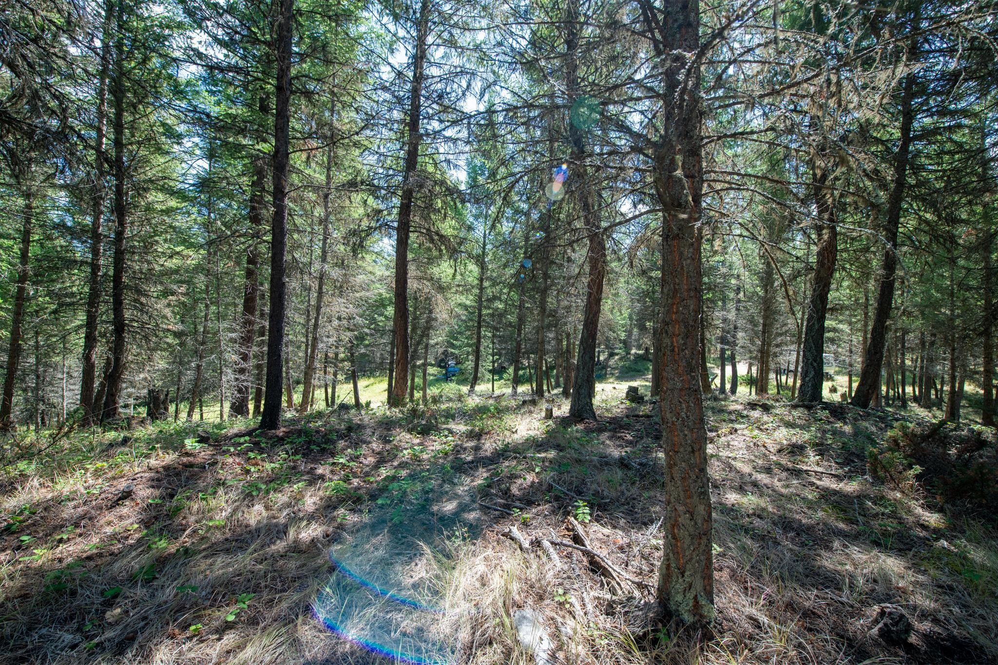 5.467 Acres Sinclair Creek Road