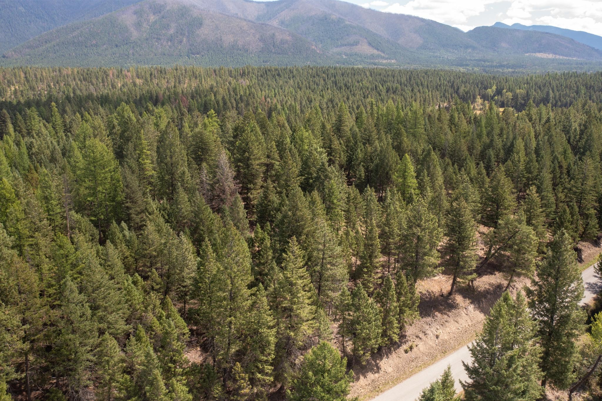 5.467 Acres Sinclair Creek Road