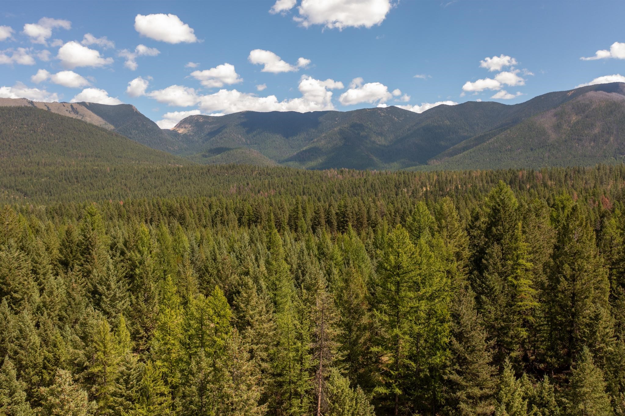 5.467 Acres Sinclair Creek Road