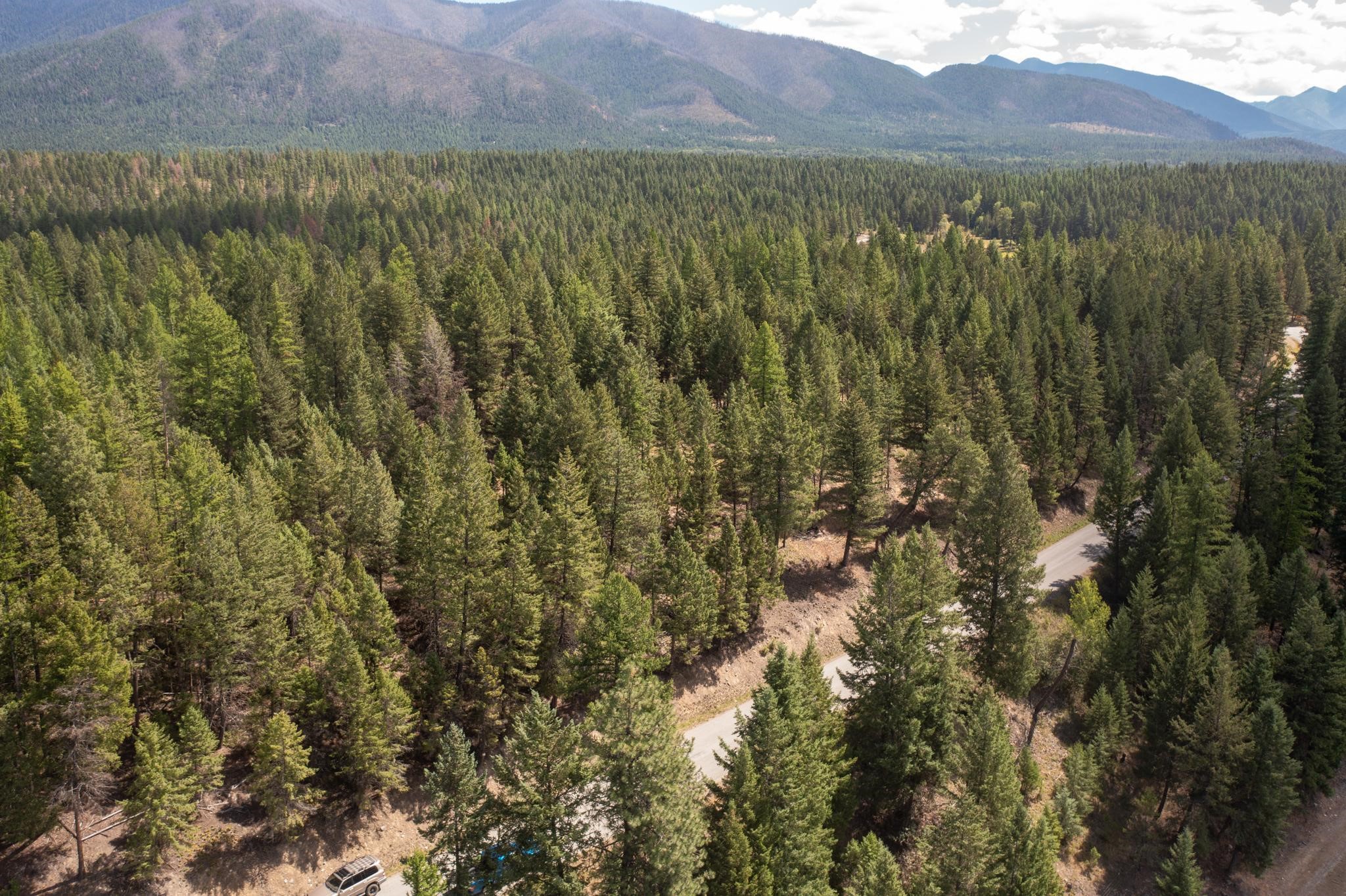 5.467 Acres Sinclair Creek Road