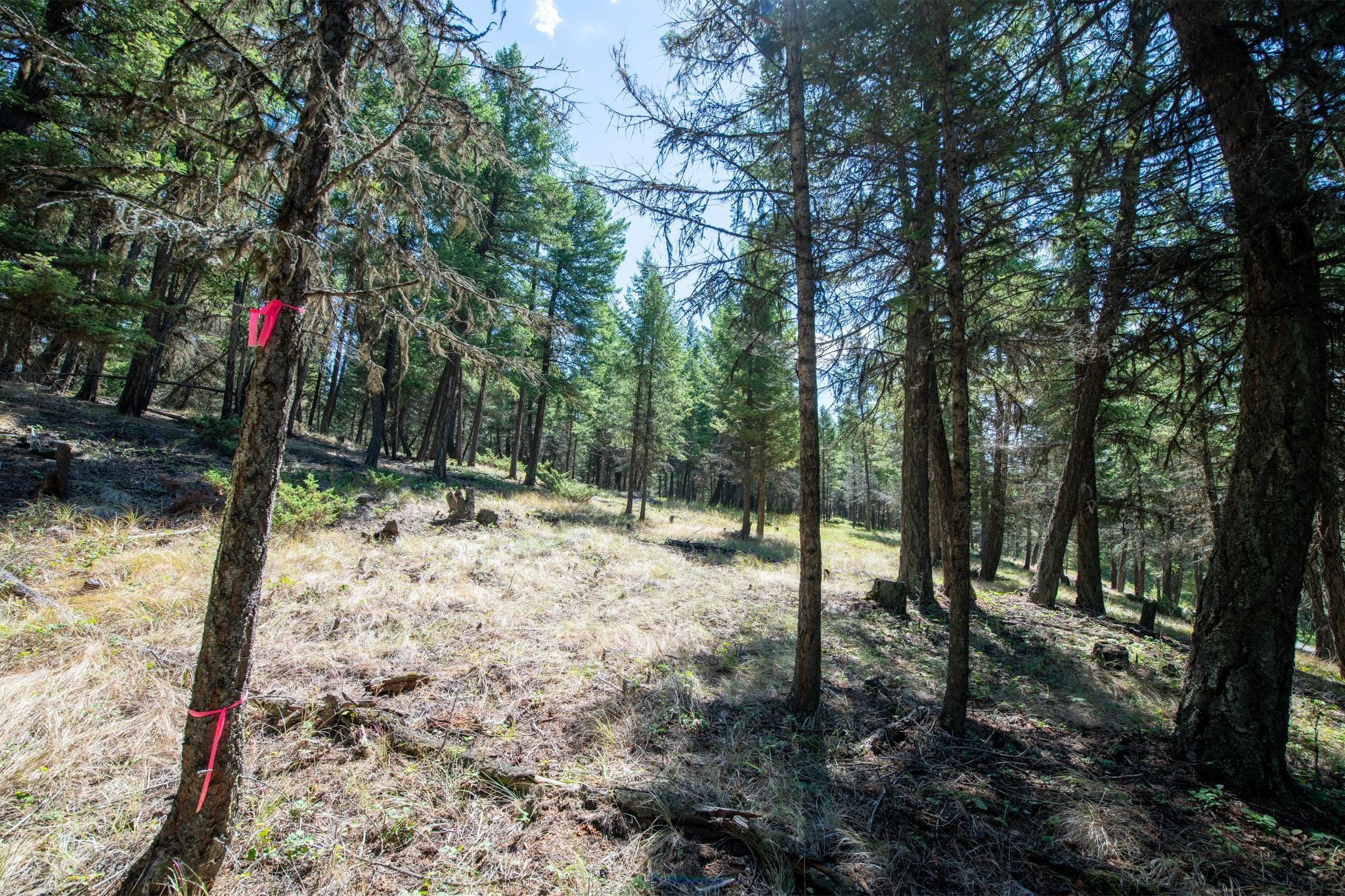 5.467 Acres Sinclair Creek Road