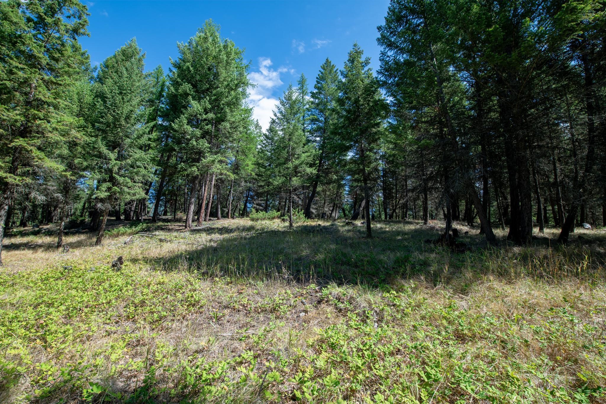 5.467 Acres Sinclair Creek Road