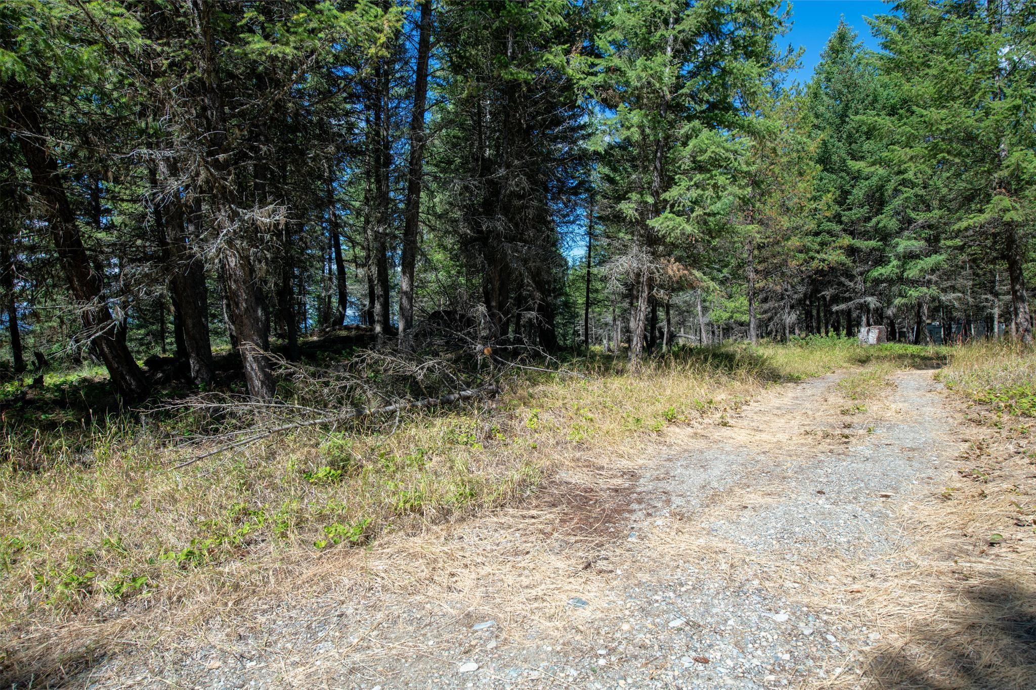 5.467 Acres Sinclair Creek Road