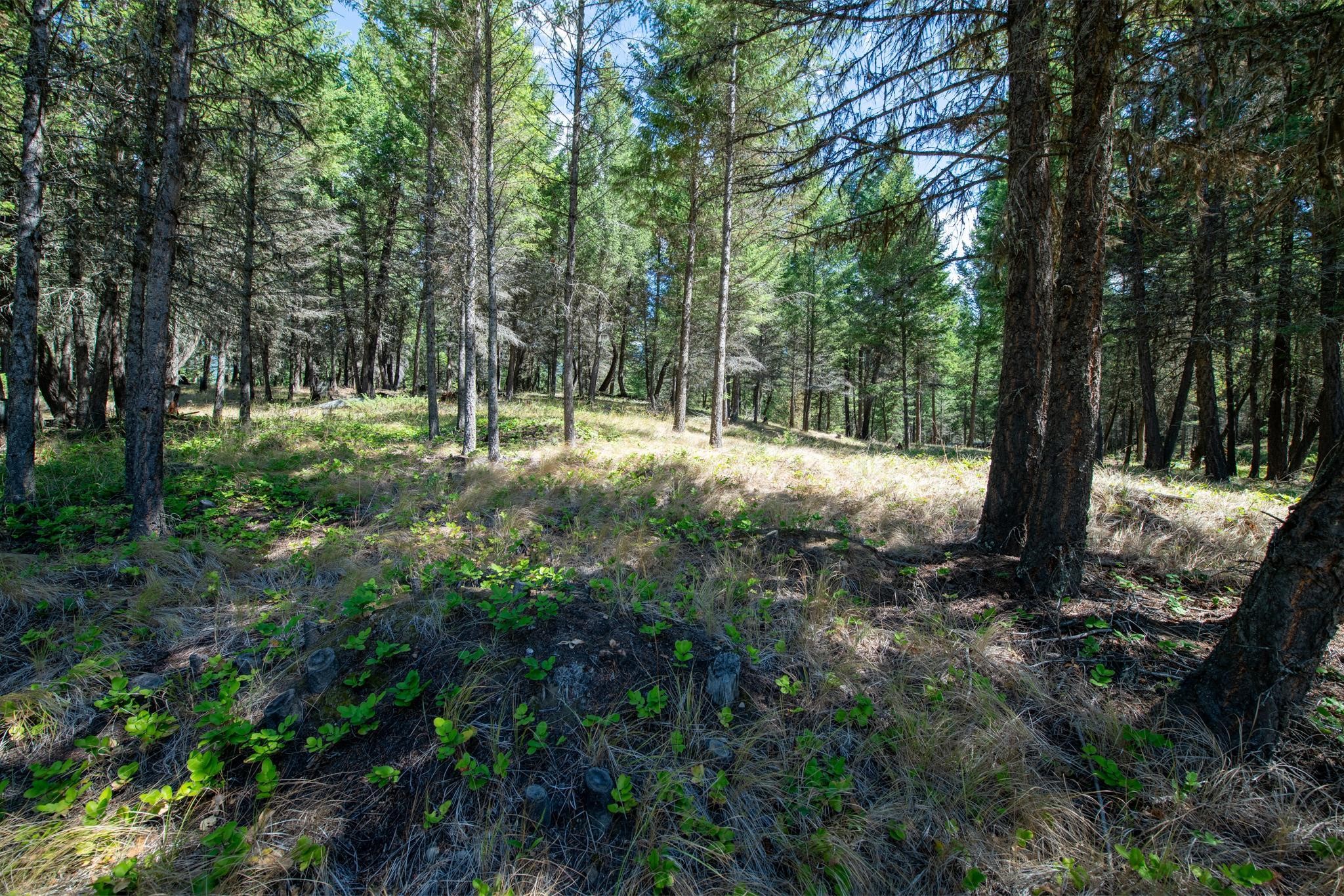 5.467 Acres Sinclair Creek Road