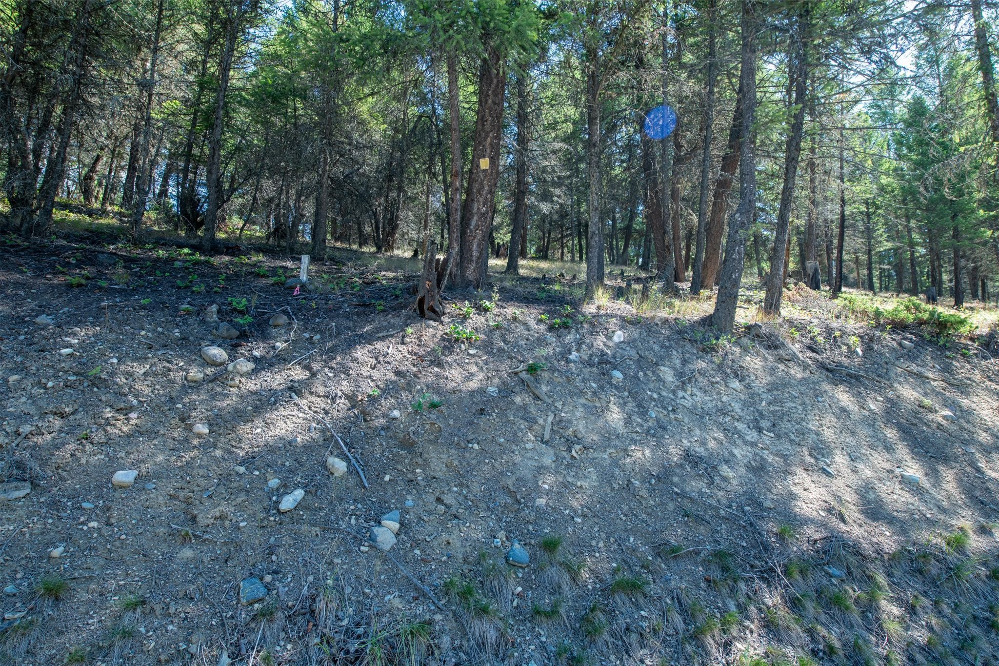 5.467 Acres Sinclair Creek Road