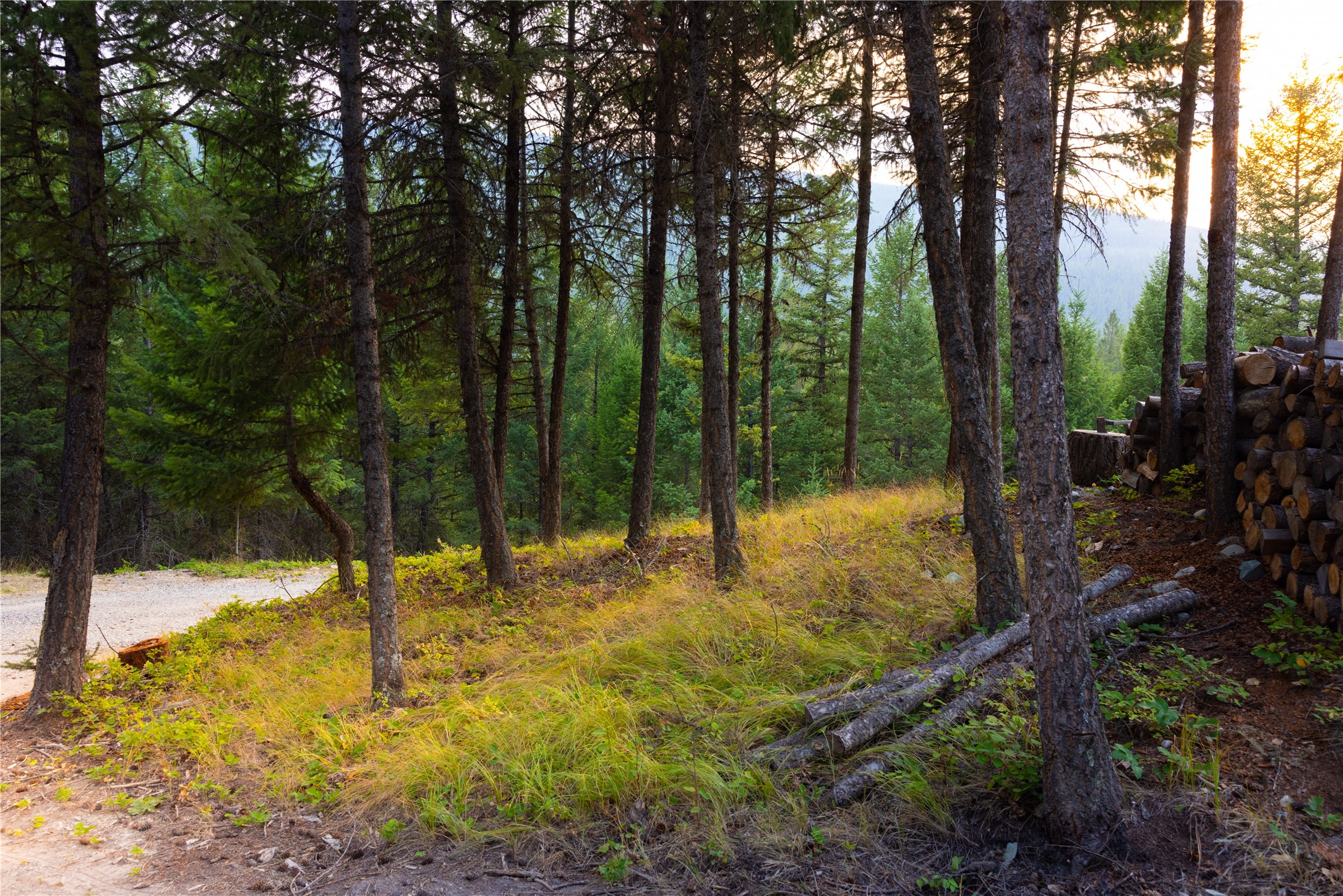 12391/12535 Pinkham Creek Road Unit: Parcel A