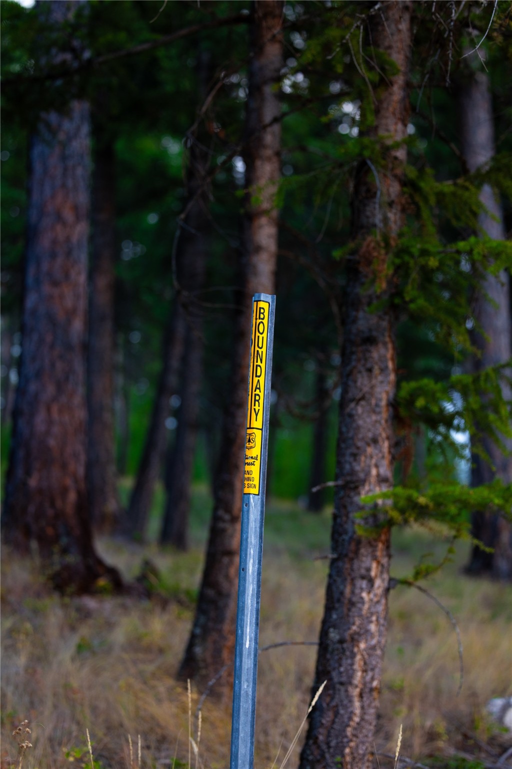 12391/12535 Pinkham Creek Road Unit: Parcel A