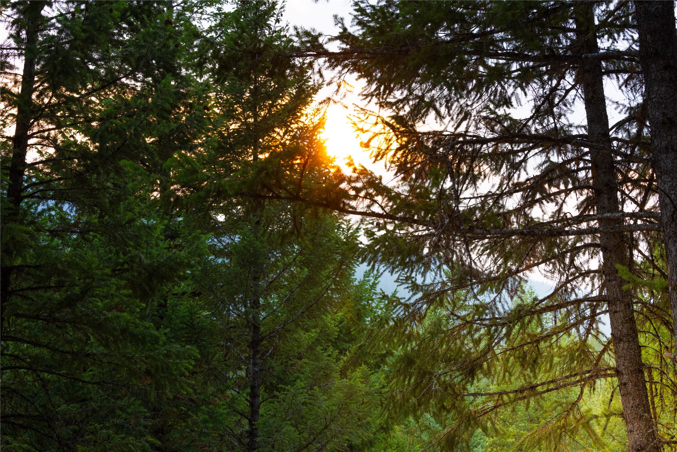 12391/12535 Pinkham Creek Road Unit: Parcel A