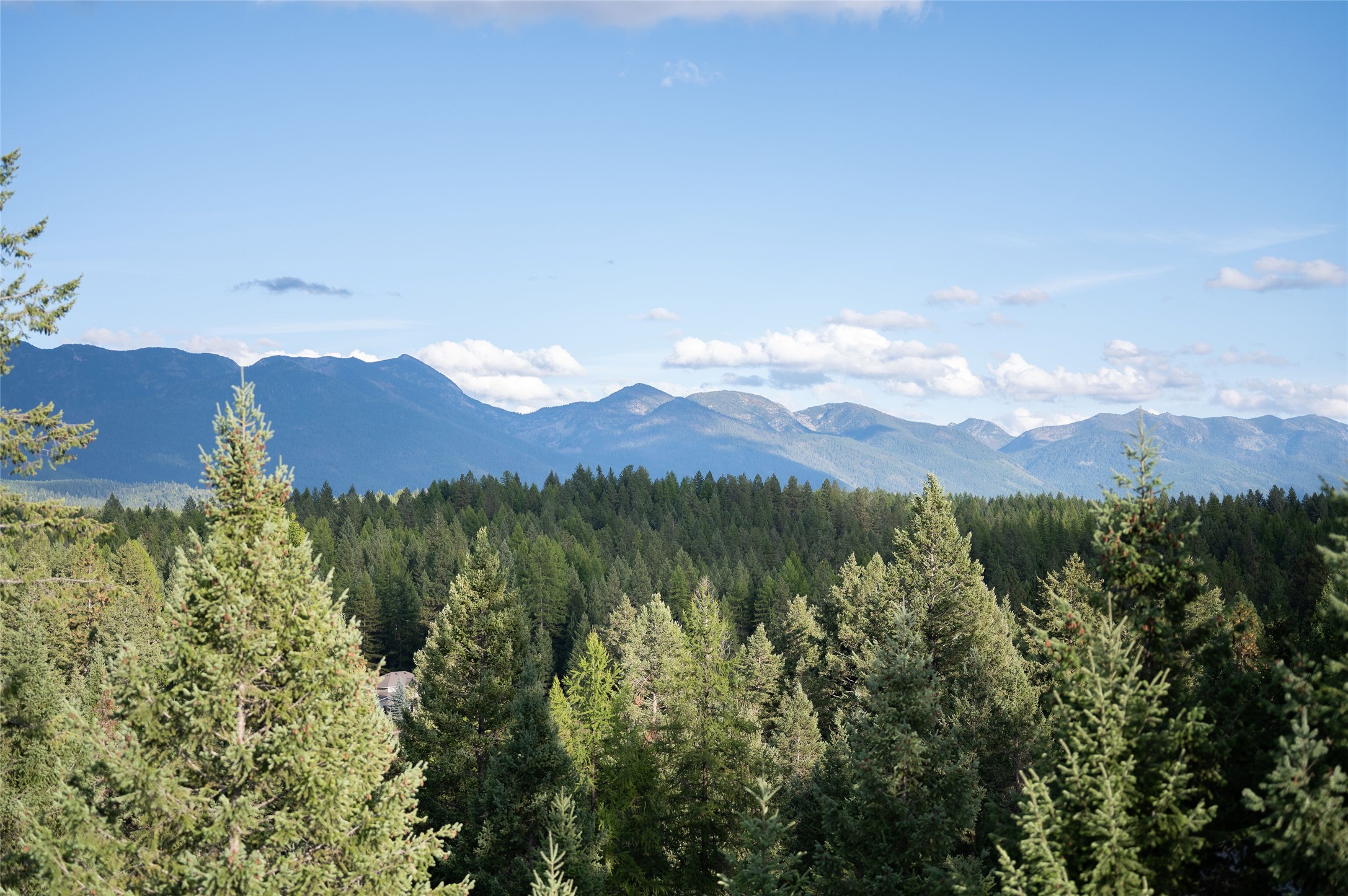 461 S Many Lakes Drive