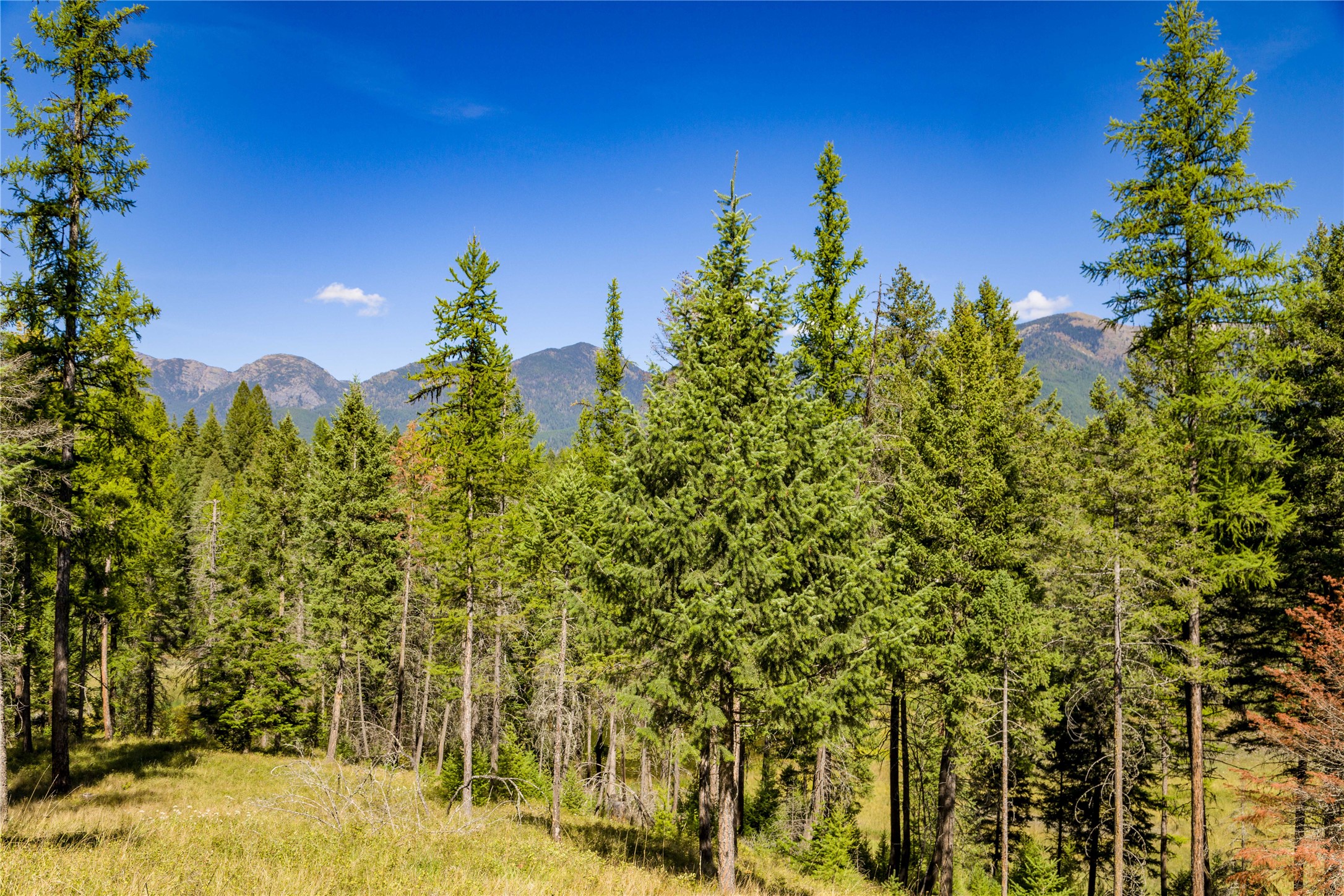 461 S Many Lakes Drive