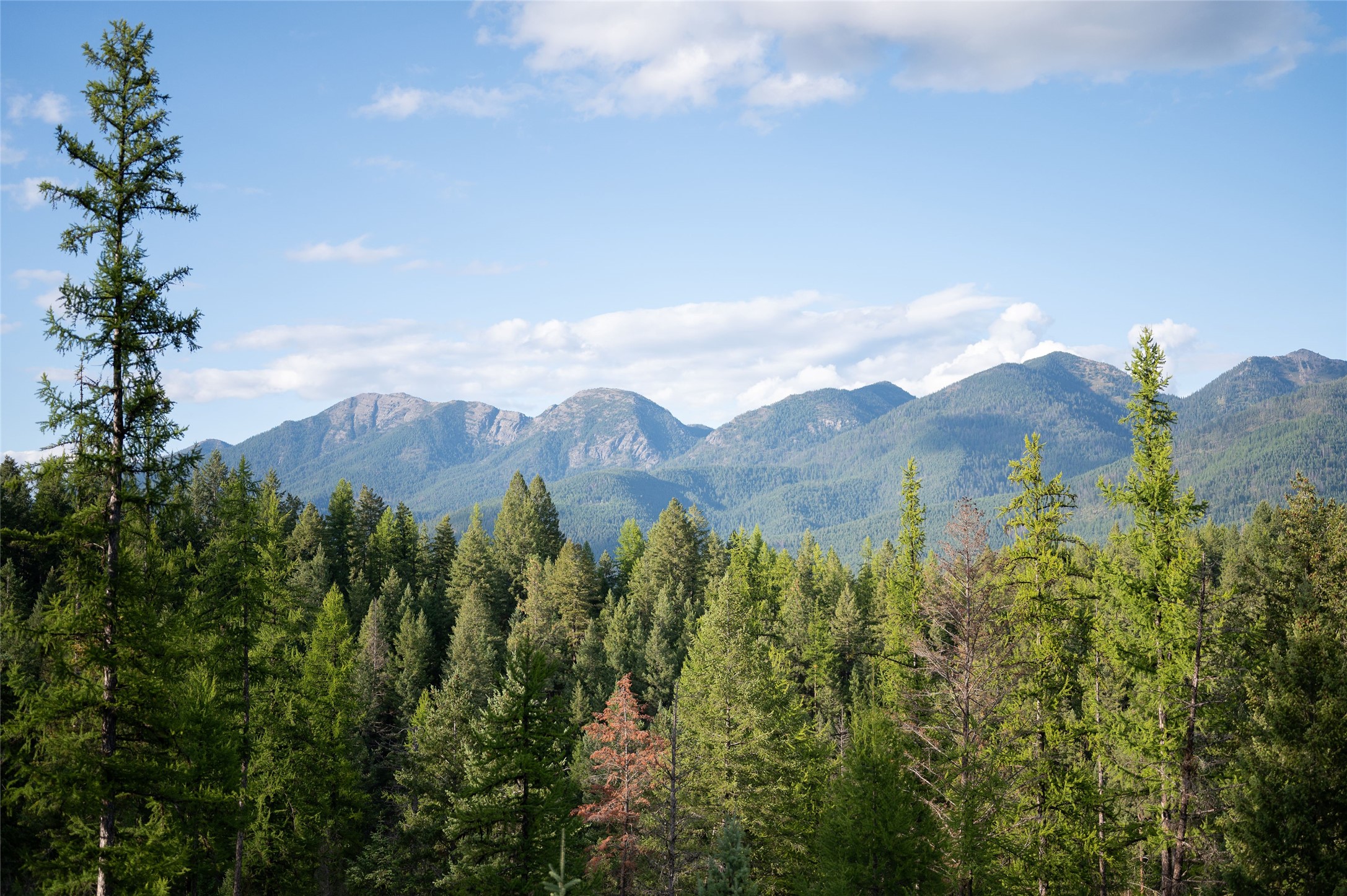 461 S Many Lakes Drive