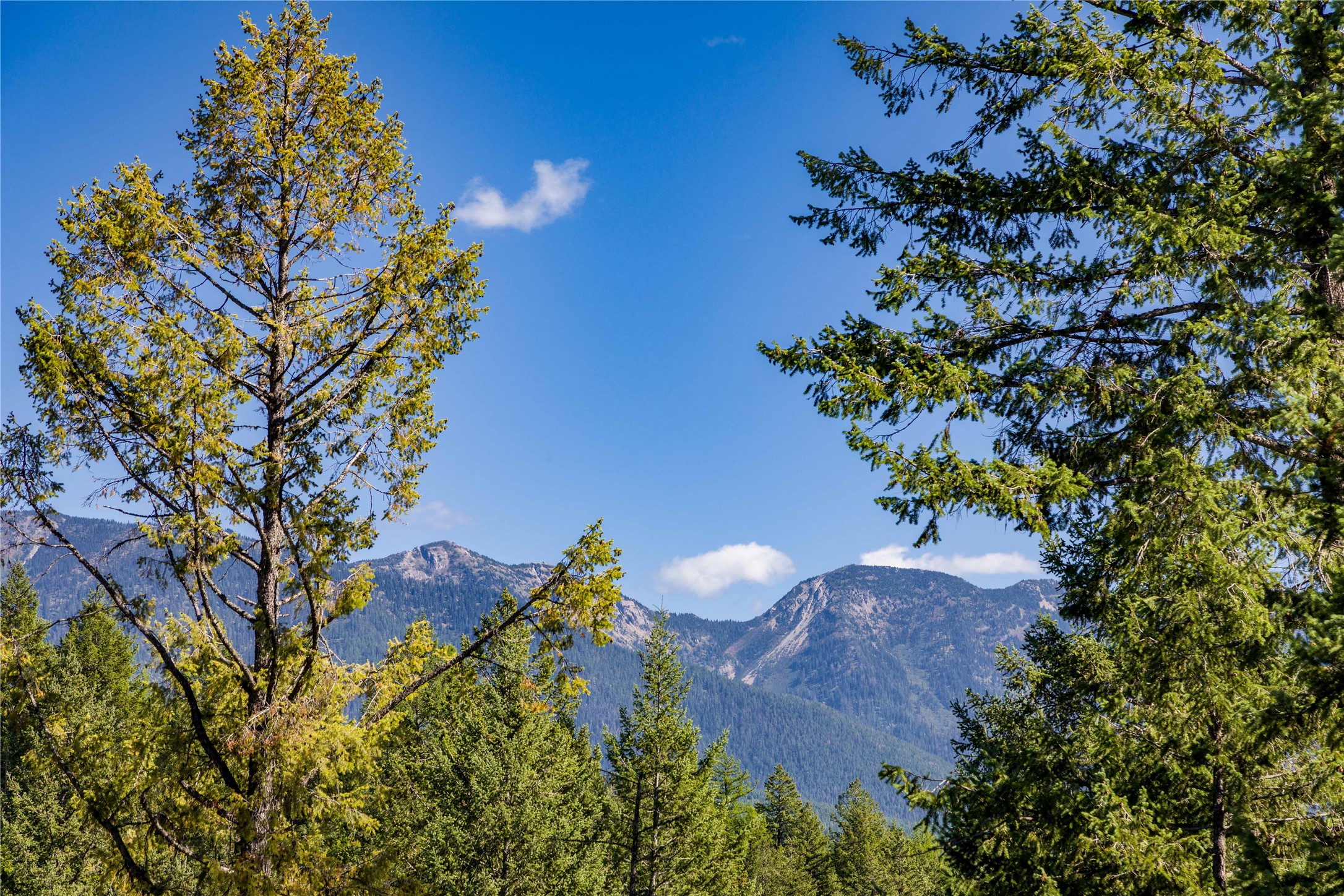 461 S Many Lakes Drive