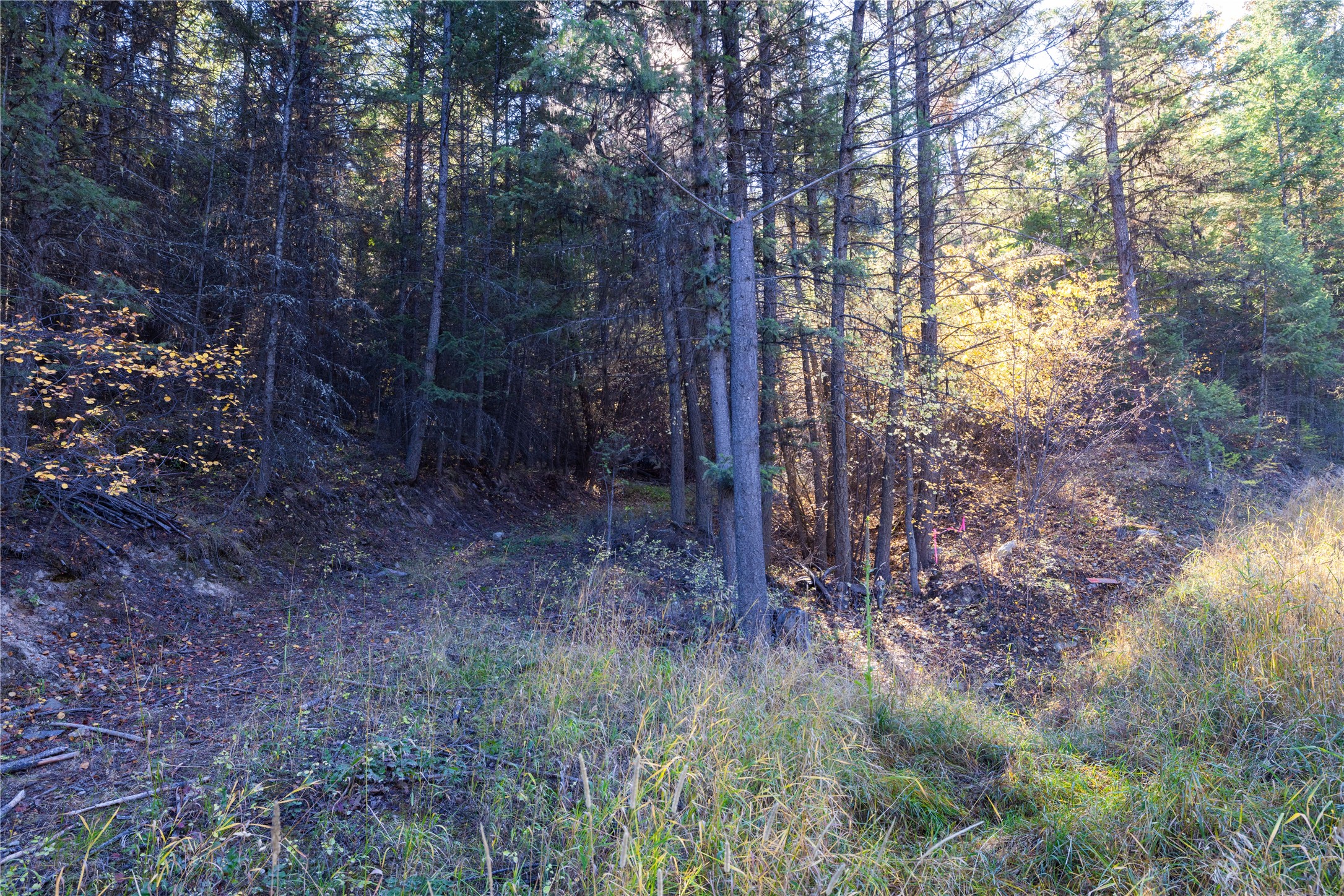 10 Acres Gut Creek Road