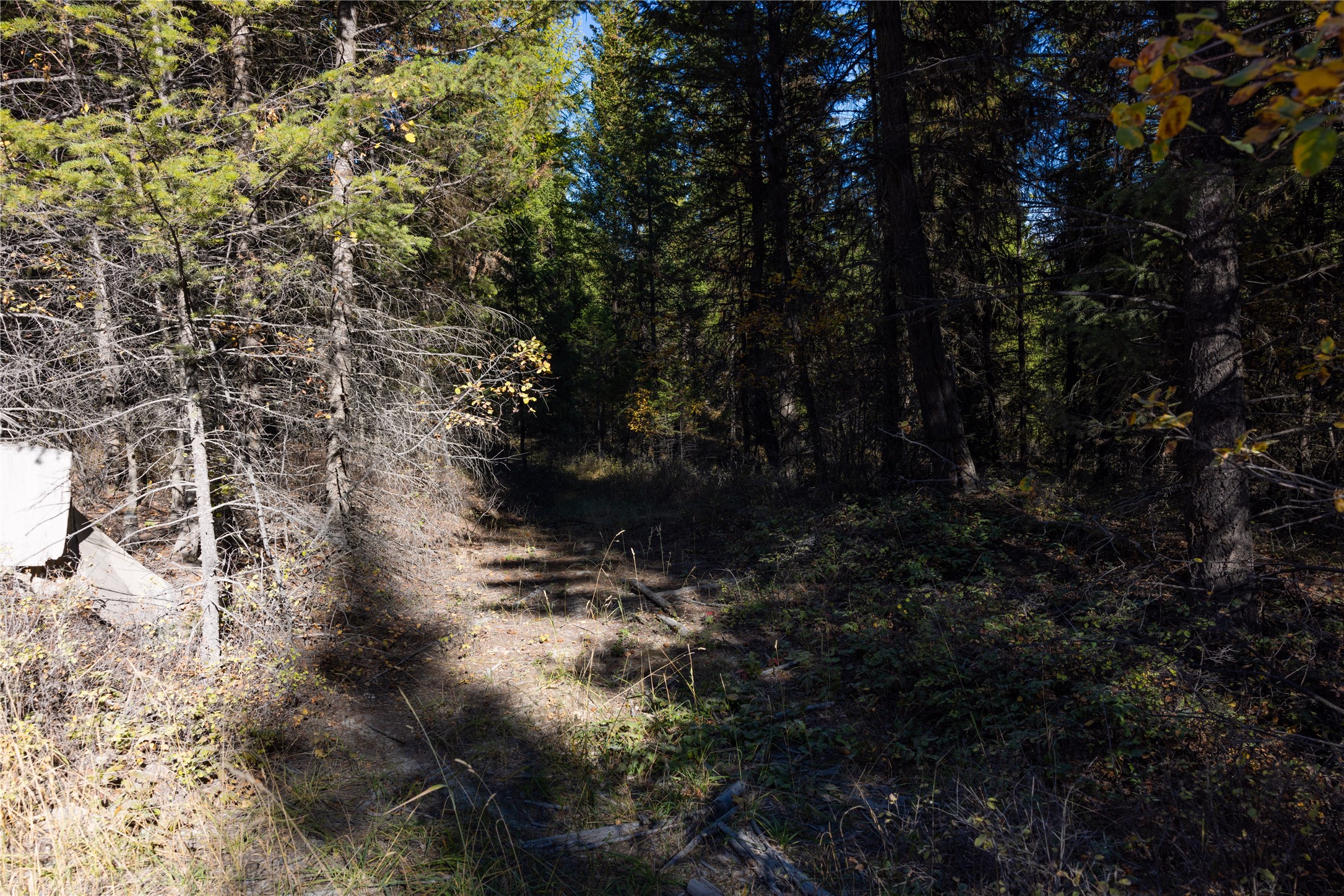 10 Acres Gut Creek Road