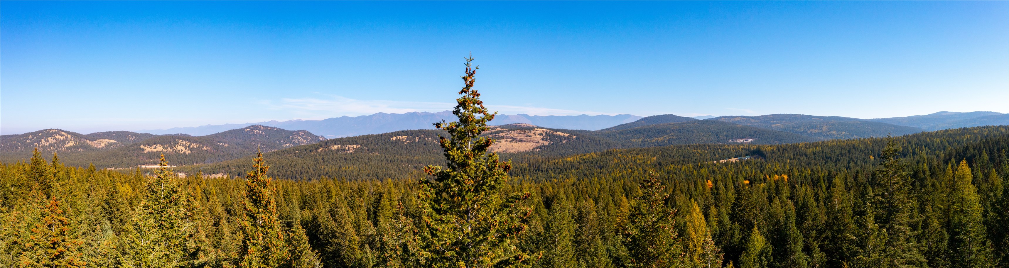 10 Acres Gut Creek Road