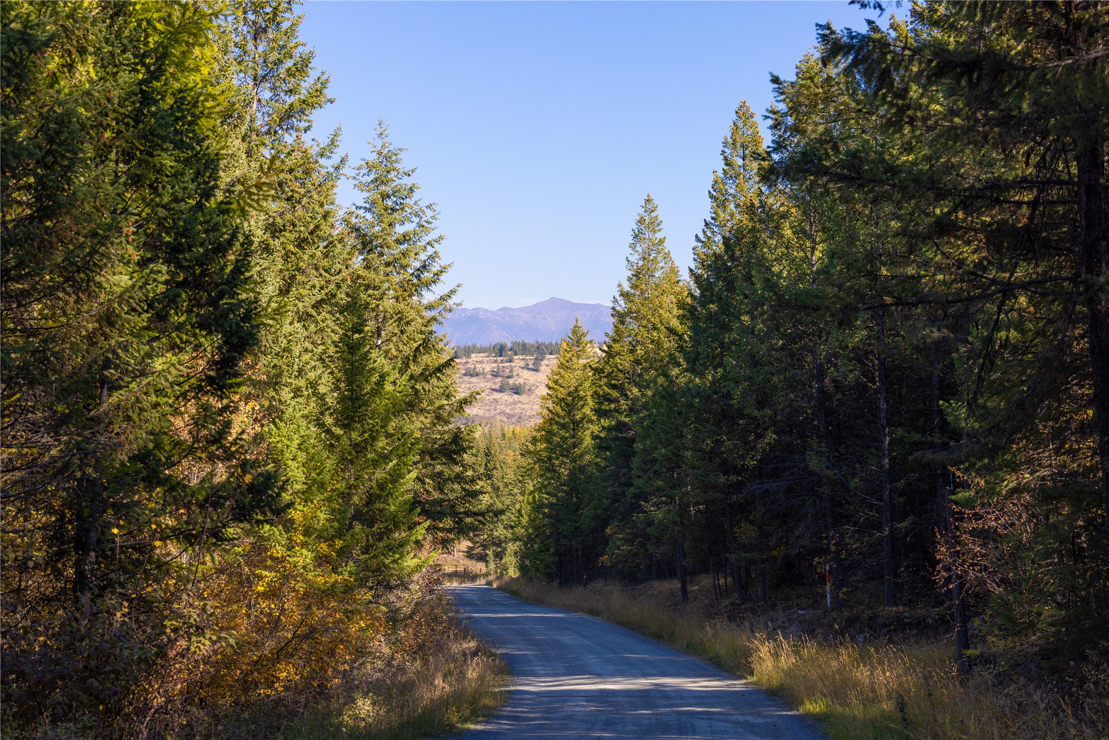 10 Acres Gut Creek Road