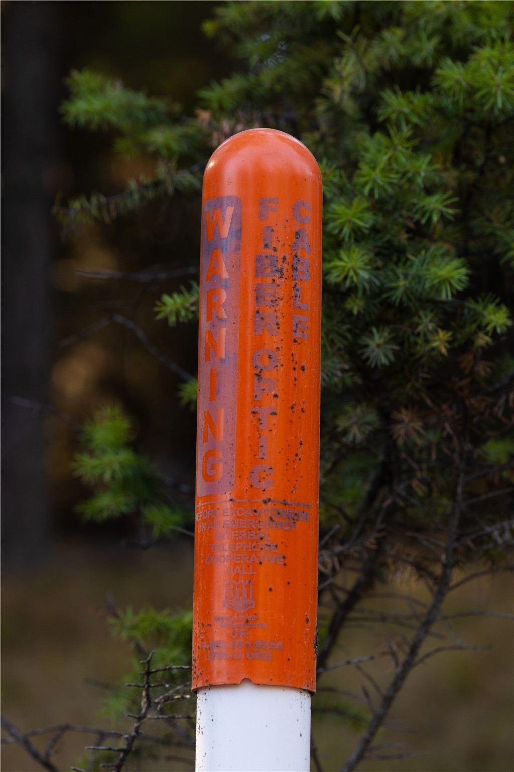 10 Acres Gut Creek Road