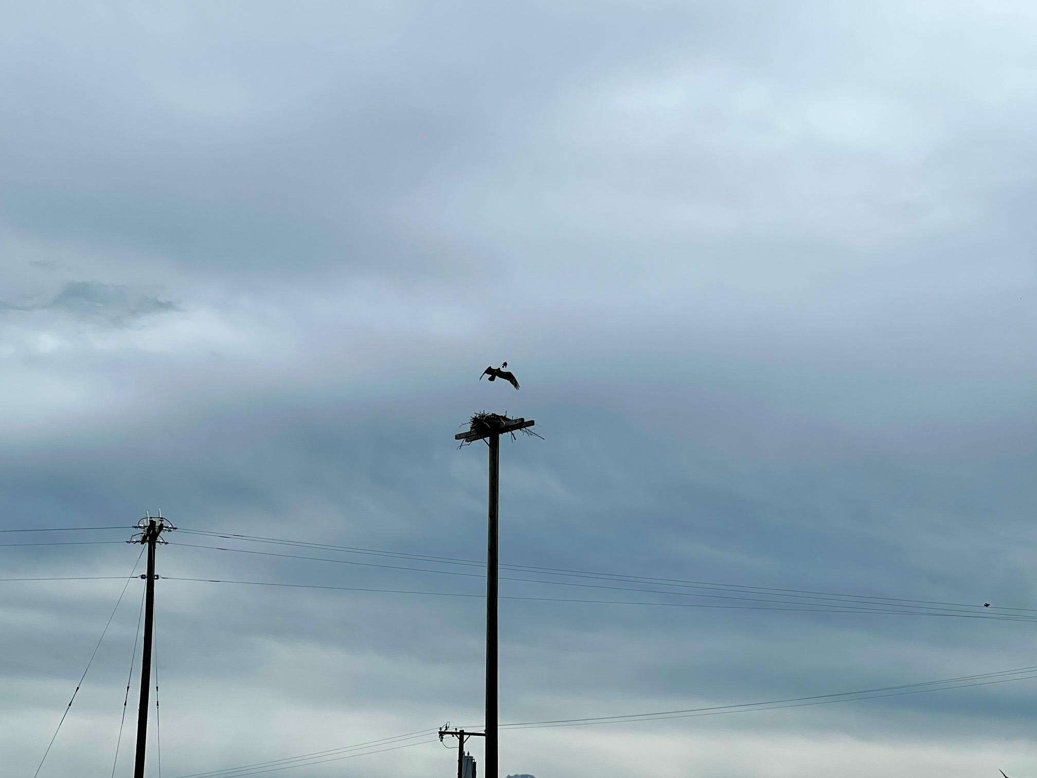 2152 & 2126 Old Us Highway 91