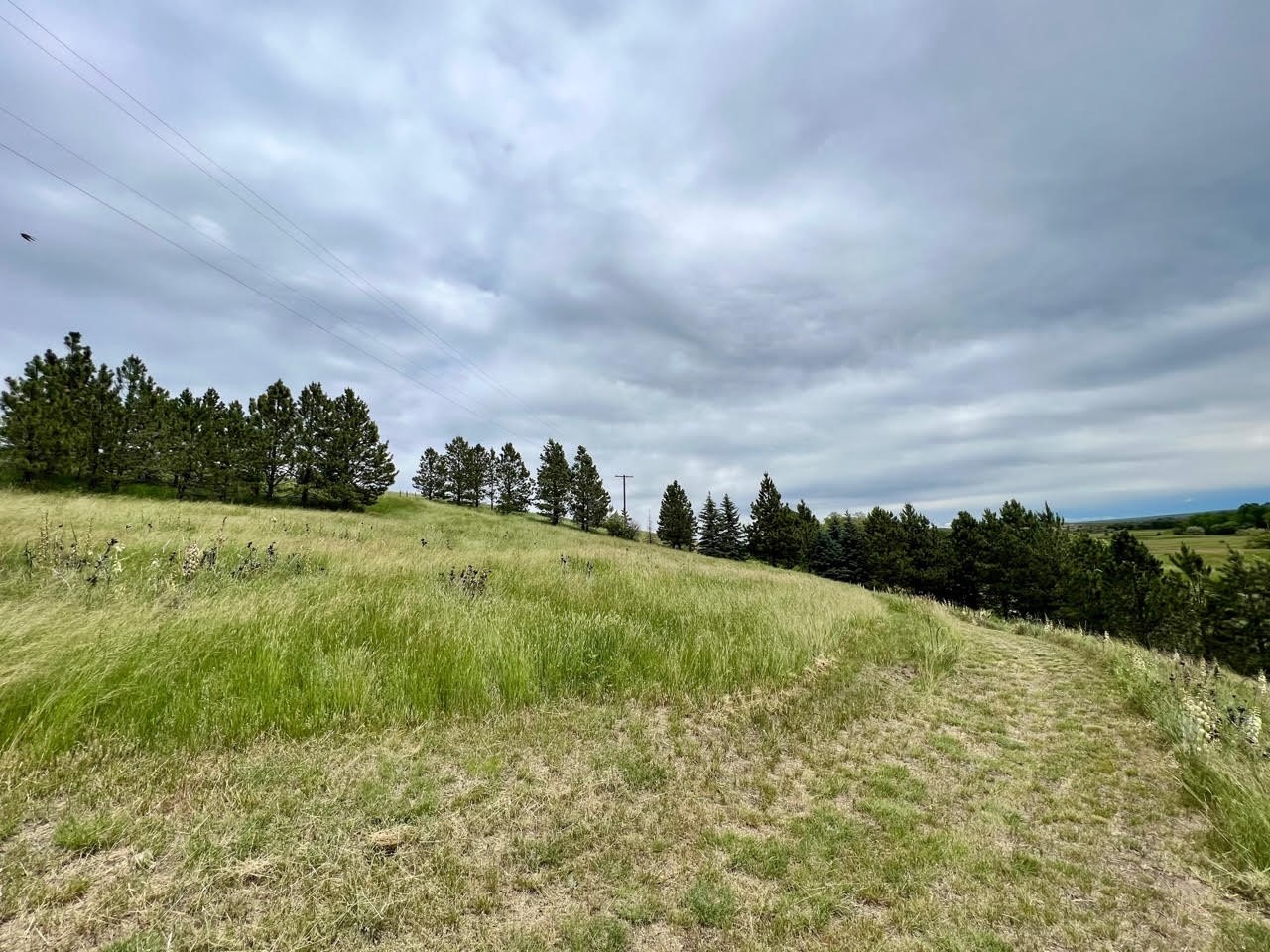 2152 & 2126 Old Us Highway 91