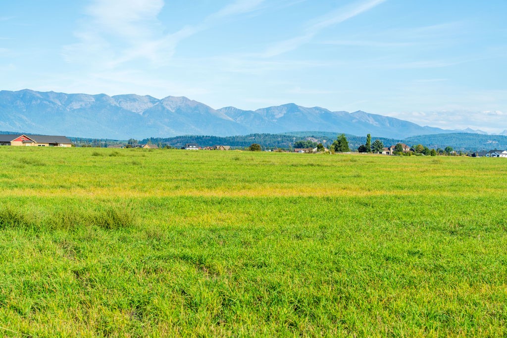 163 Flight Line Lane