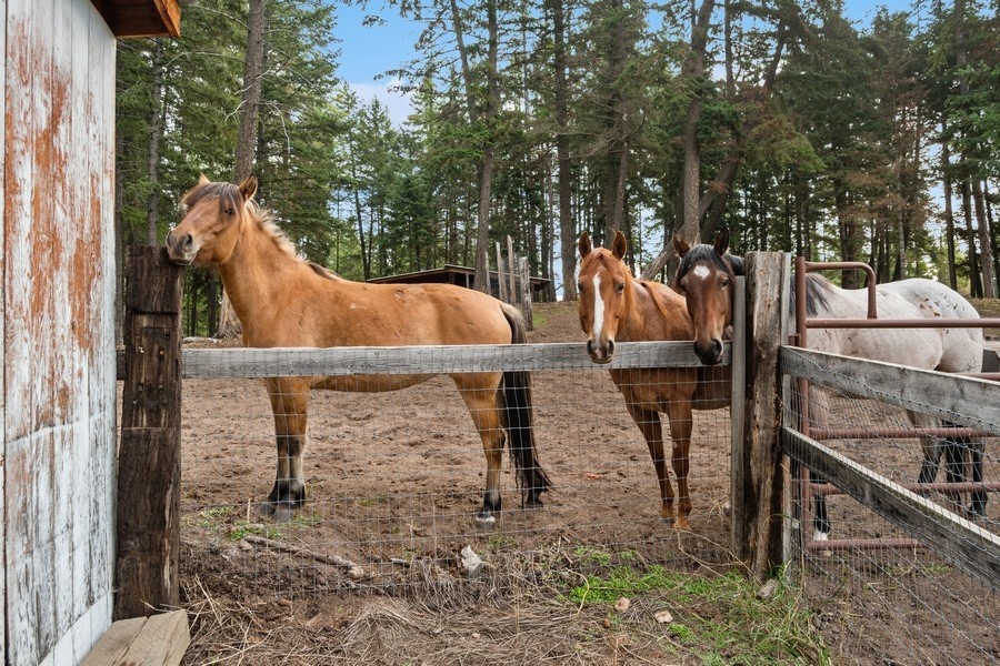 3857 MT Highway 40 W