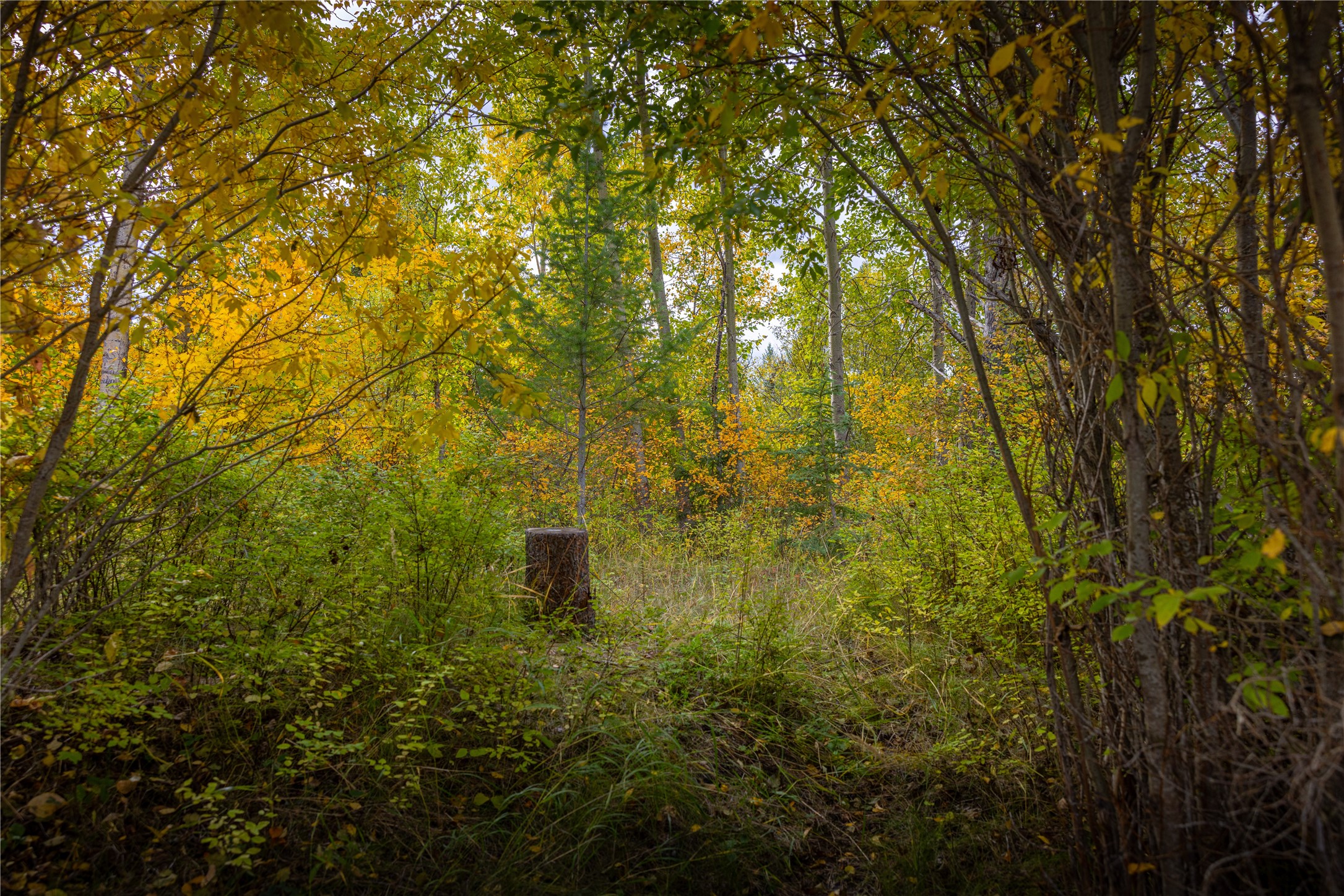 2400 Therriault Pass Road Unit: 230.179 Acres