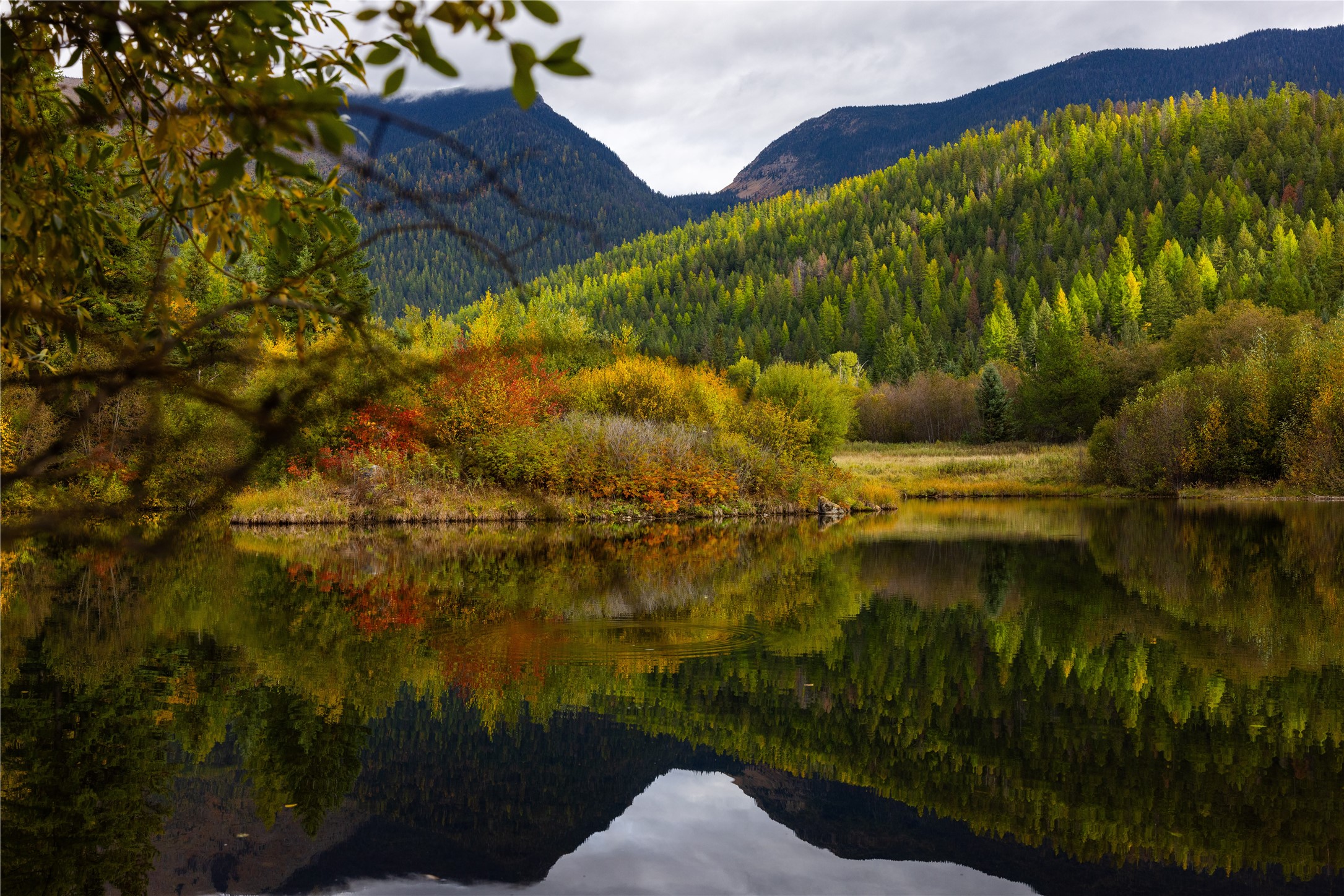 2400 Therriault Pass Road Unit: 230.179 Acres