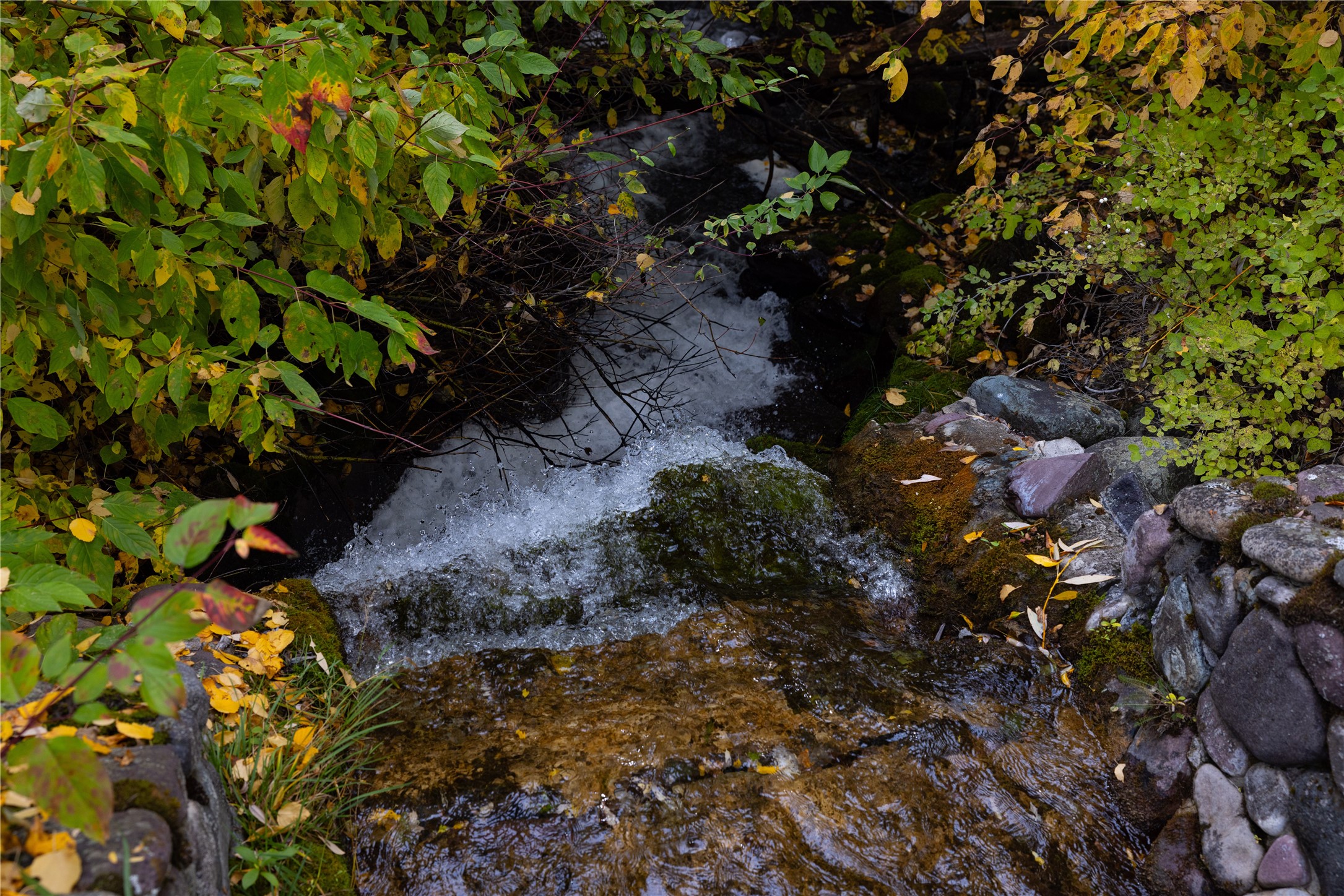2400 Therriault Pass Road Unit: 230.179 Acres
