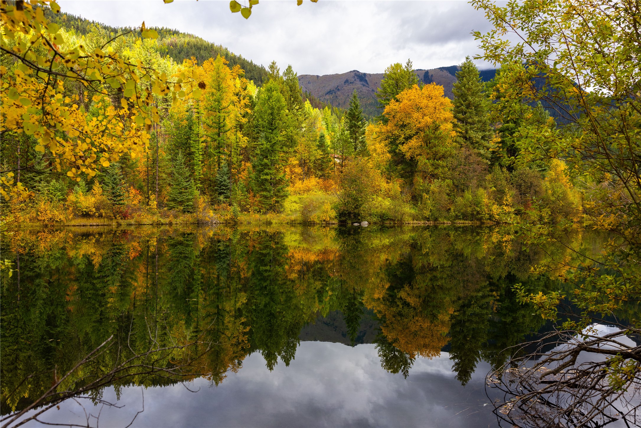 2400 Therriault Pass Road Unit: 230.179 Acres