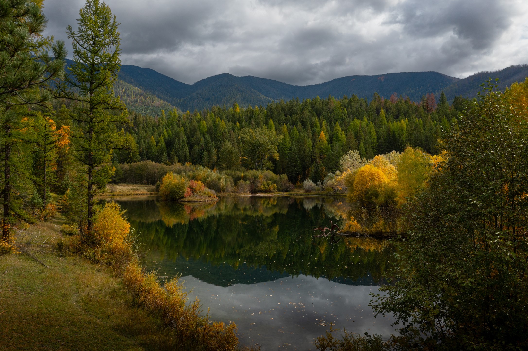 2400 Therriault Pass Road Unit: 230.179 Acres