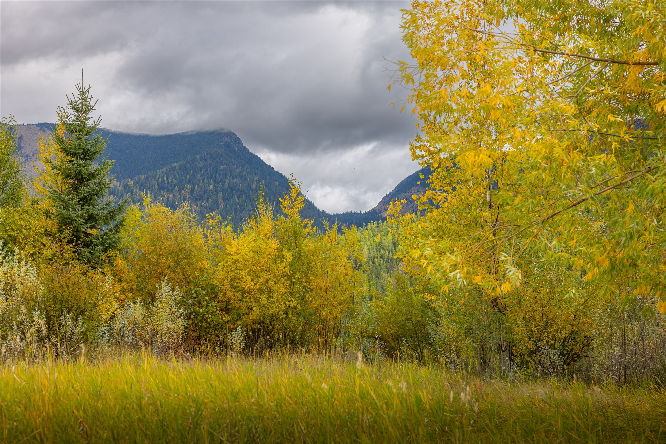 2400 Therriault Pass Road Unit: 230.179 Acres