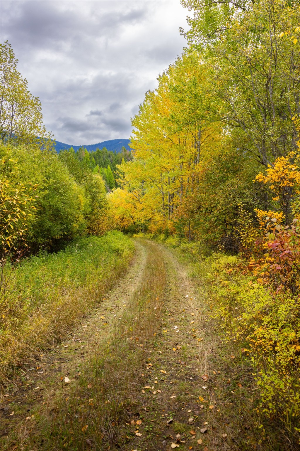 2400 Therriault Pass Road Unit: 230.179 Acres