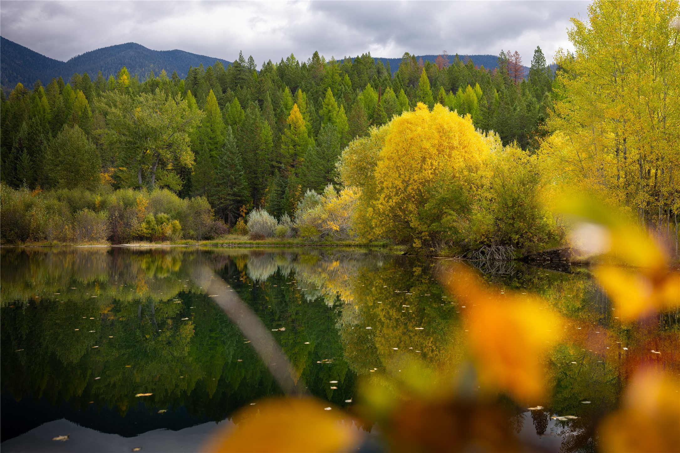 2400 Therriault Pass Road Unit: 230.179 Acres