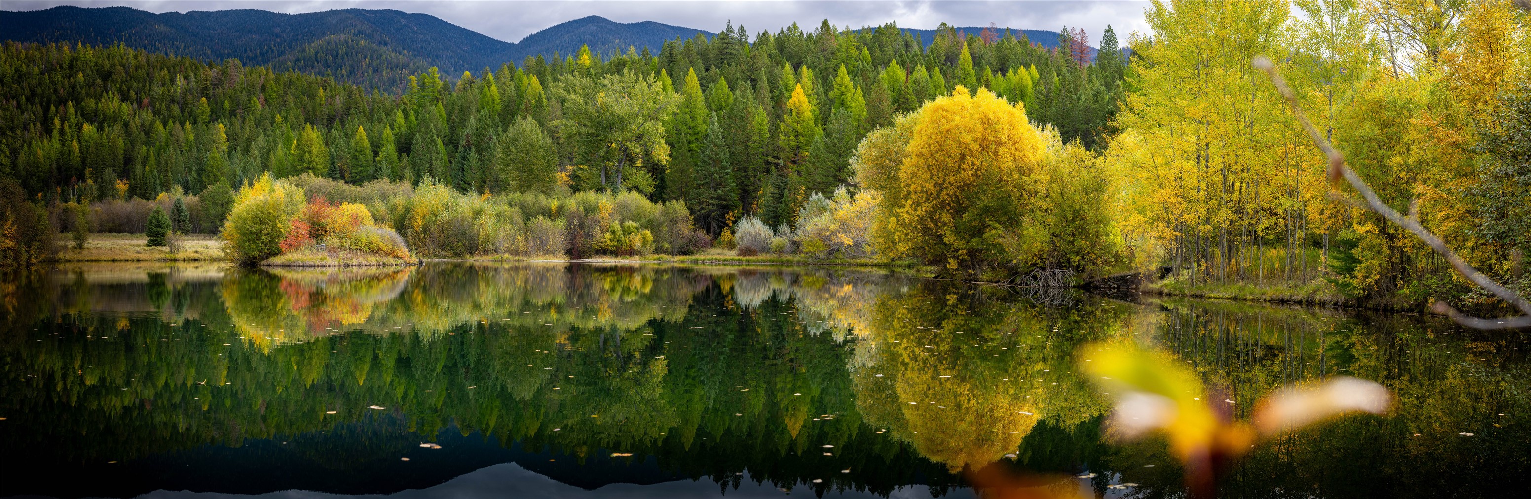 2400 Therriault Pass Road Unit: 230.179 Acres