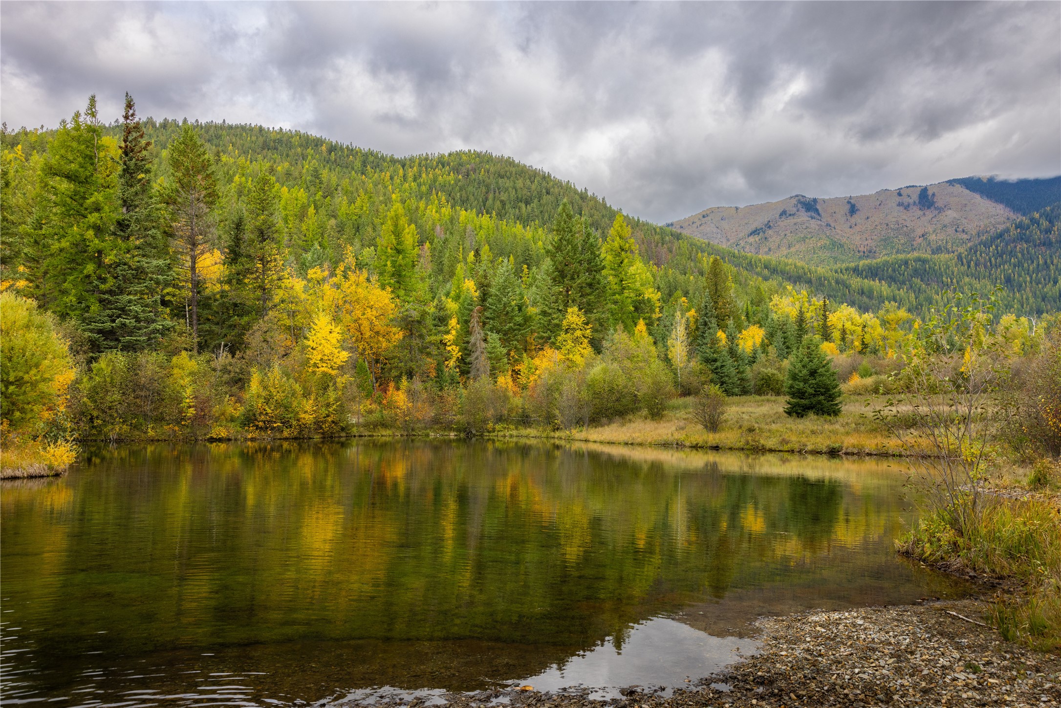 2400 Therriault Pass Road Unit: 230.179 Acres