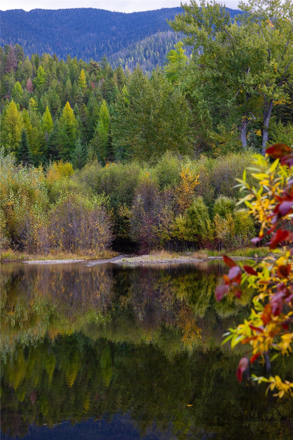 2400 Therriault Pass Road Unit: 230.179 Acres