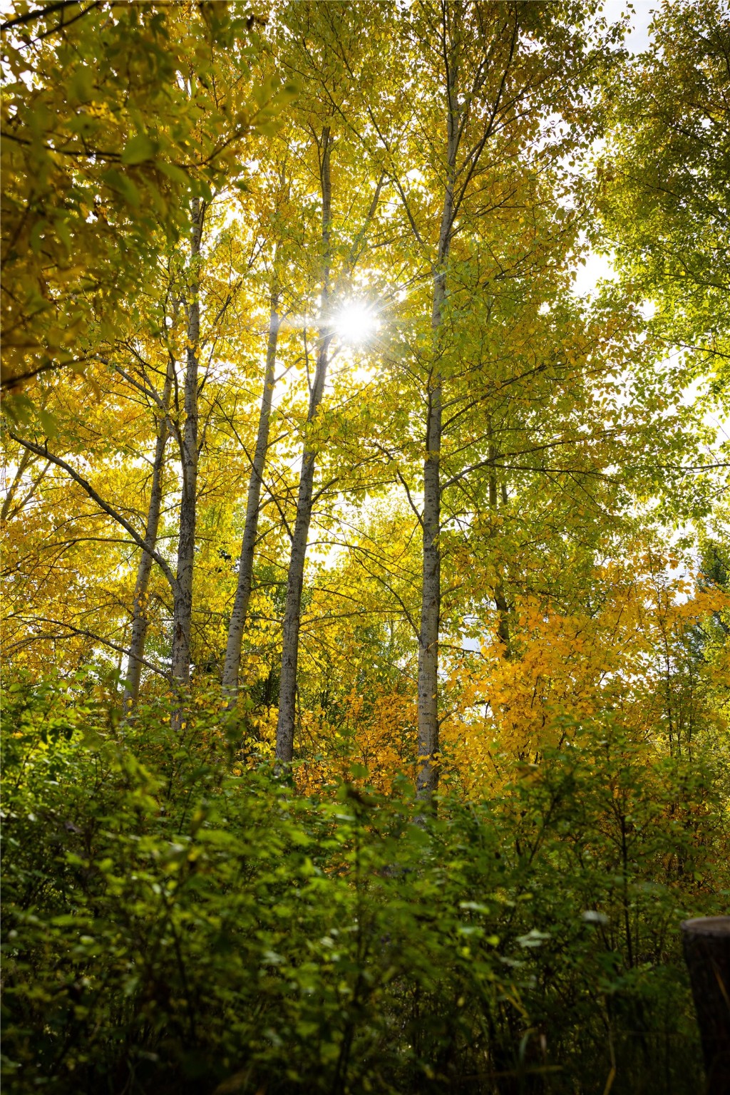 2400 Therriault Pass Road Unit: 230.179 Acres