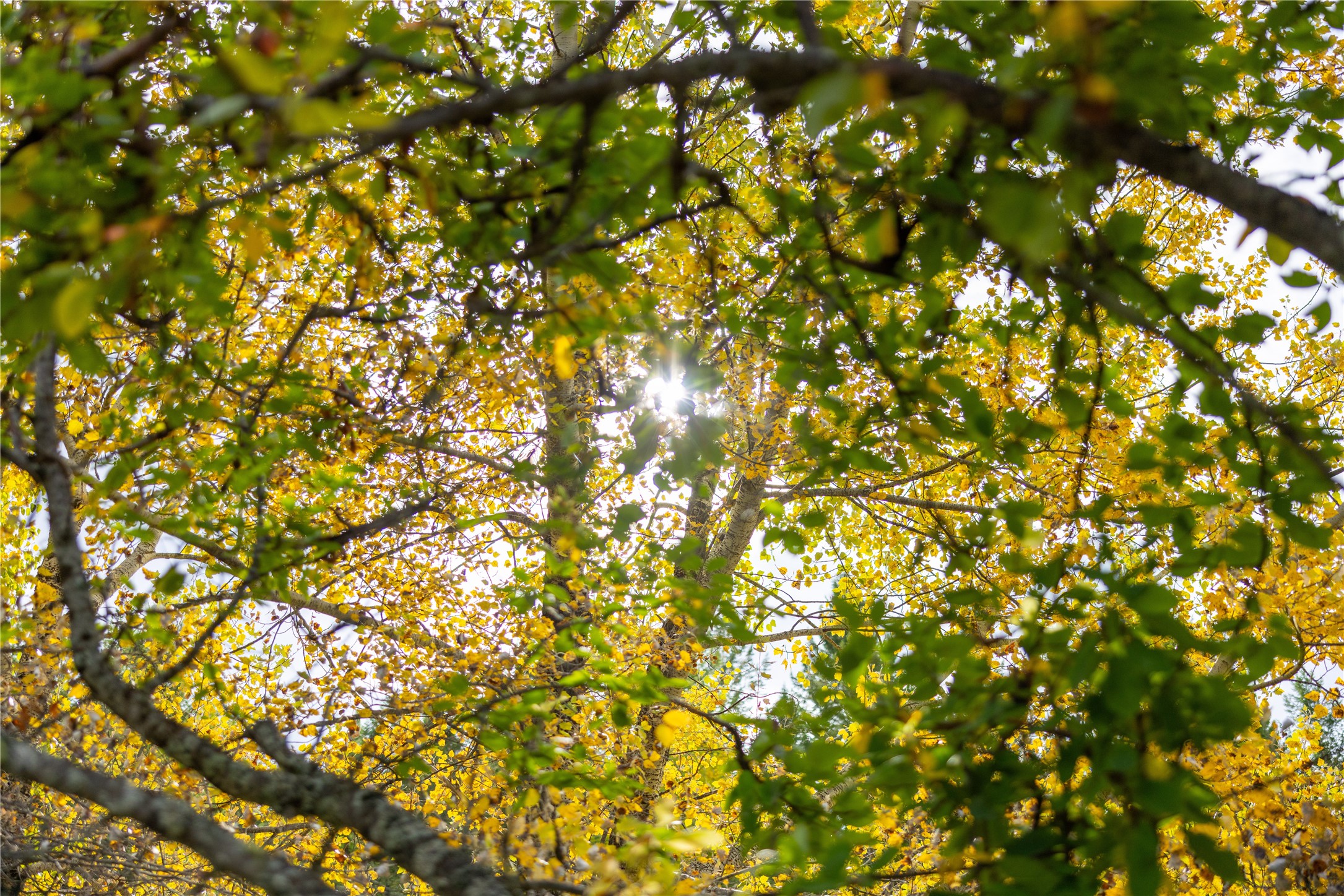 2400 Therriault Pass Road Unit: 230.179 Acres