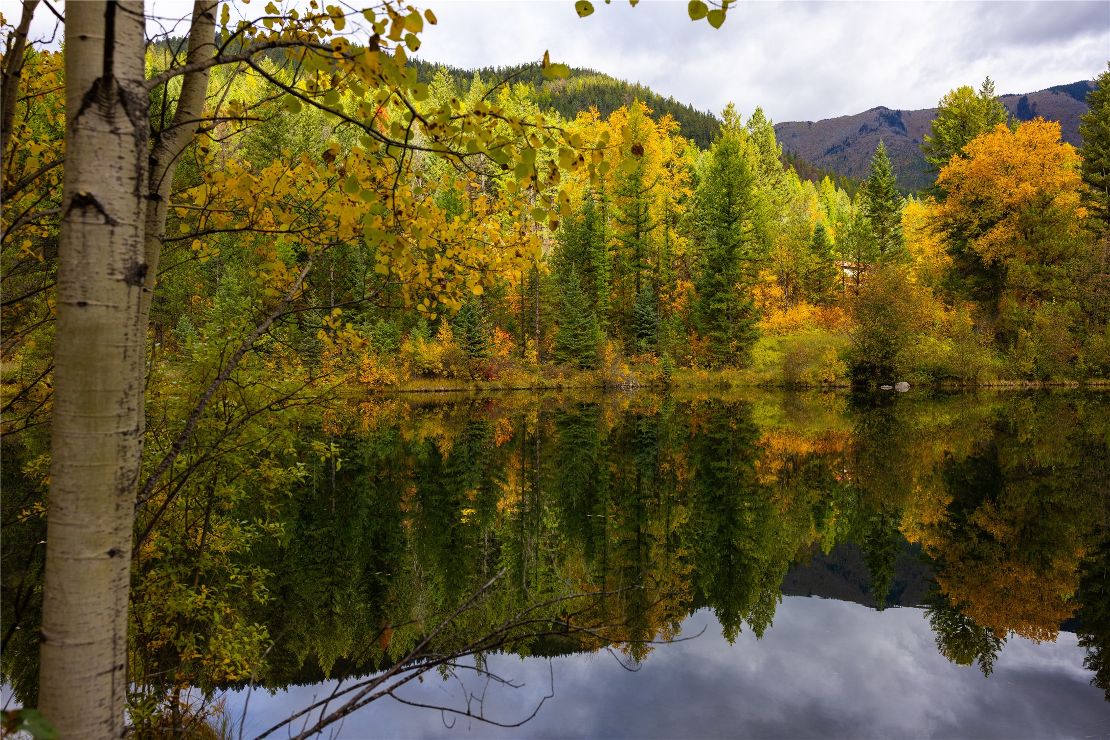 2400 Therriault Pass Road Unit: 230.179 Acres