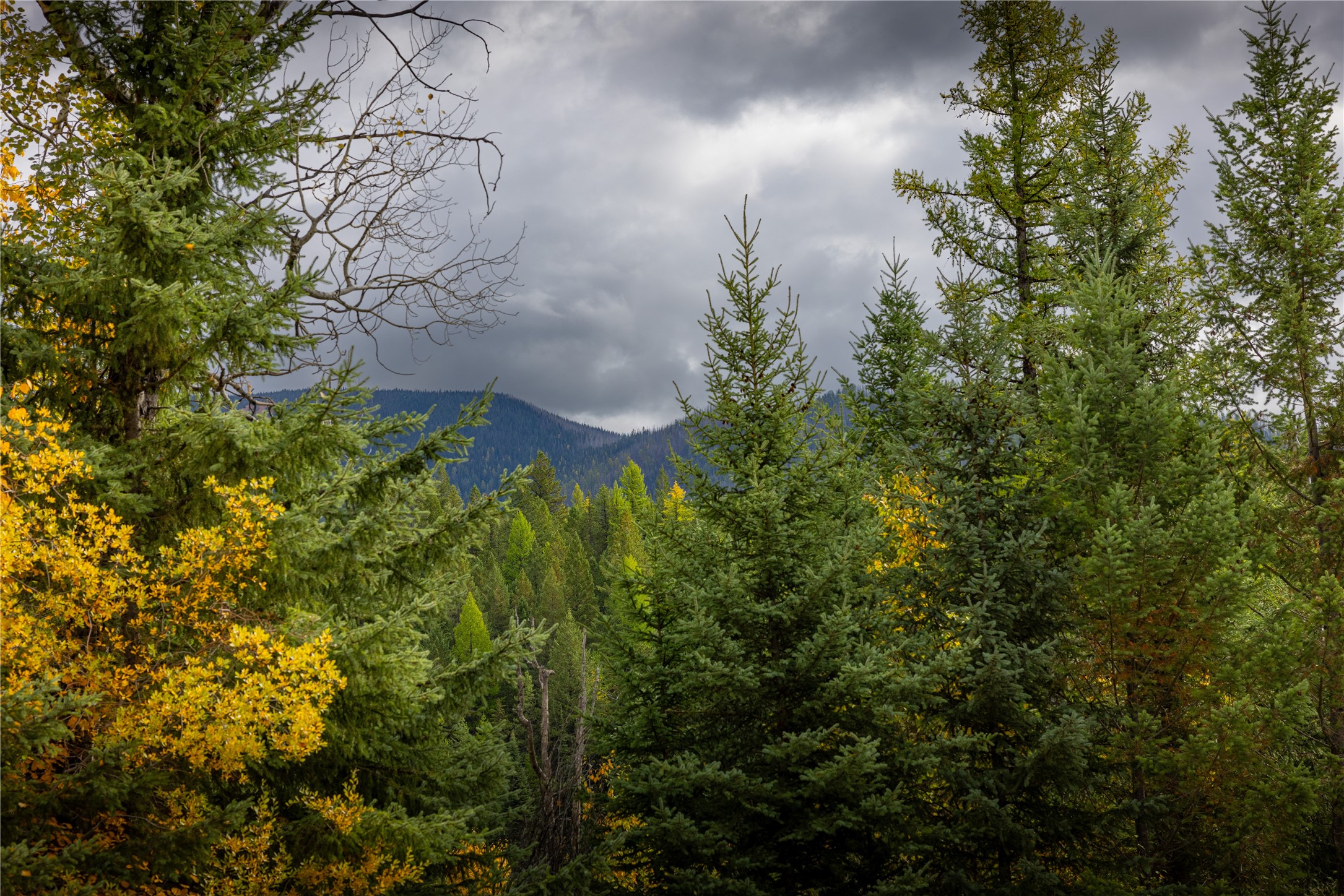 2400 Therriault Pass Road Unit: 230.179 Acres