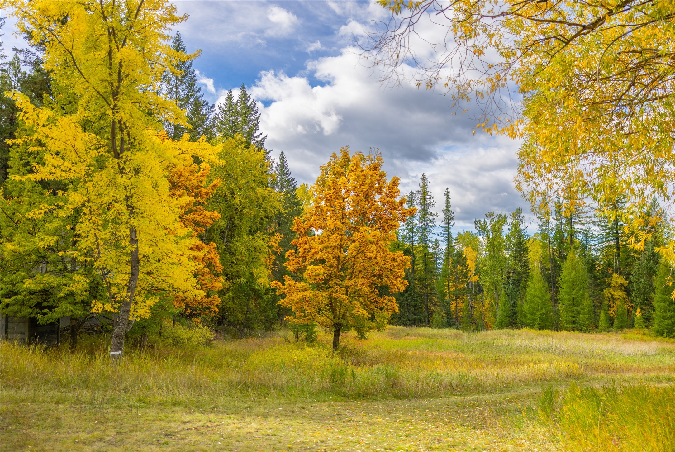 2400 Therriault Pass Road Unit: 230.179 Acres