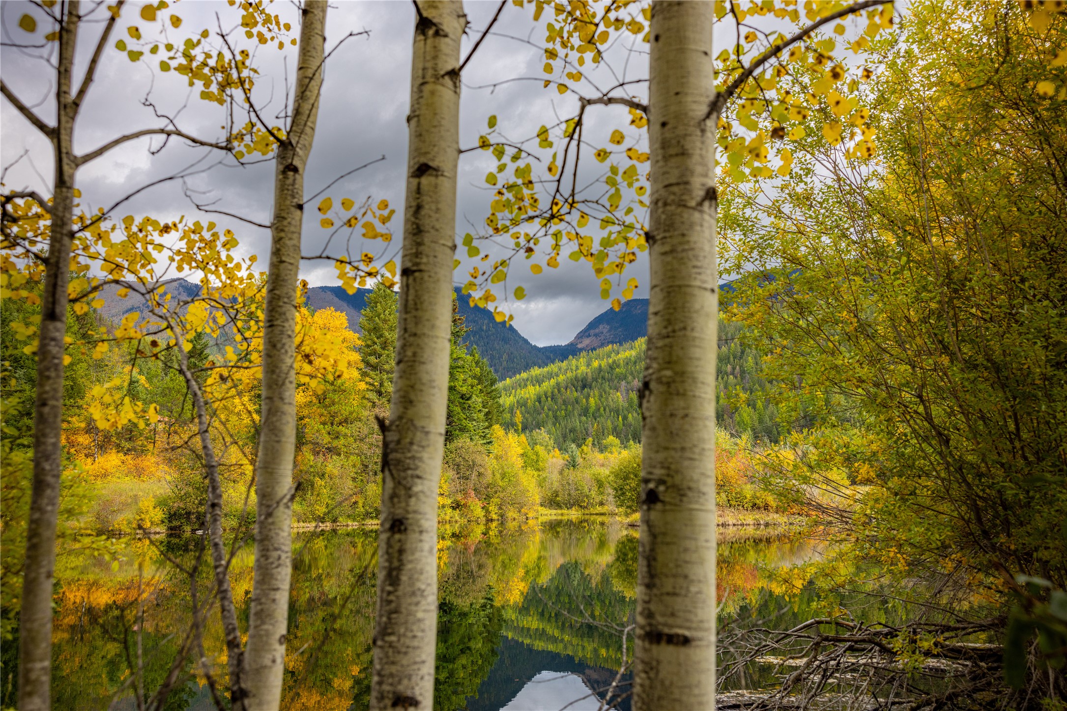 2400 Therriault Pass Road Unit: 230.179 Acres