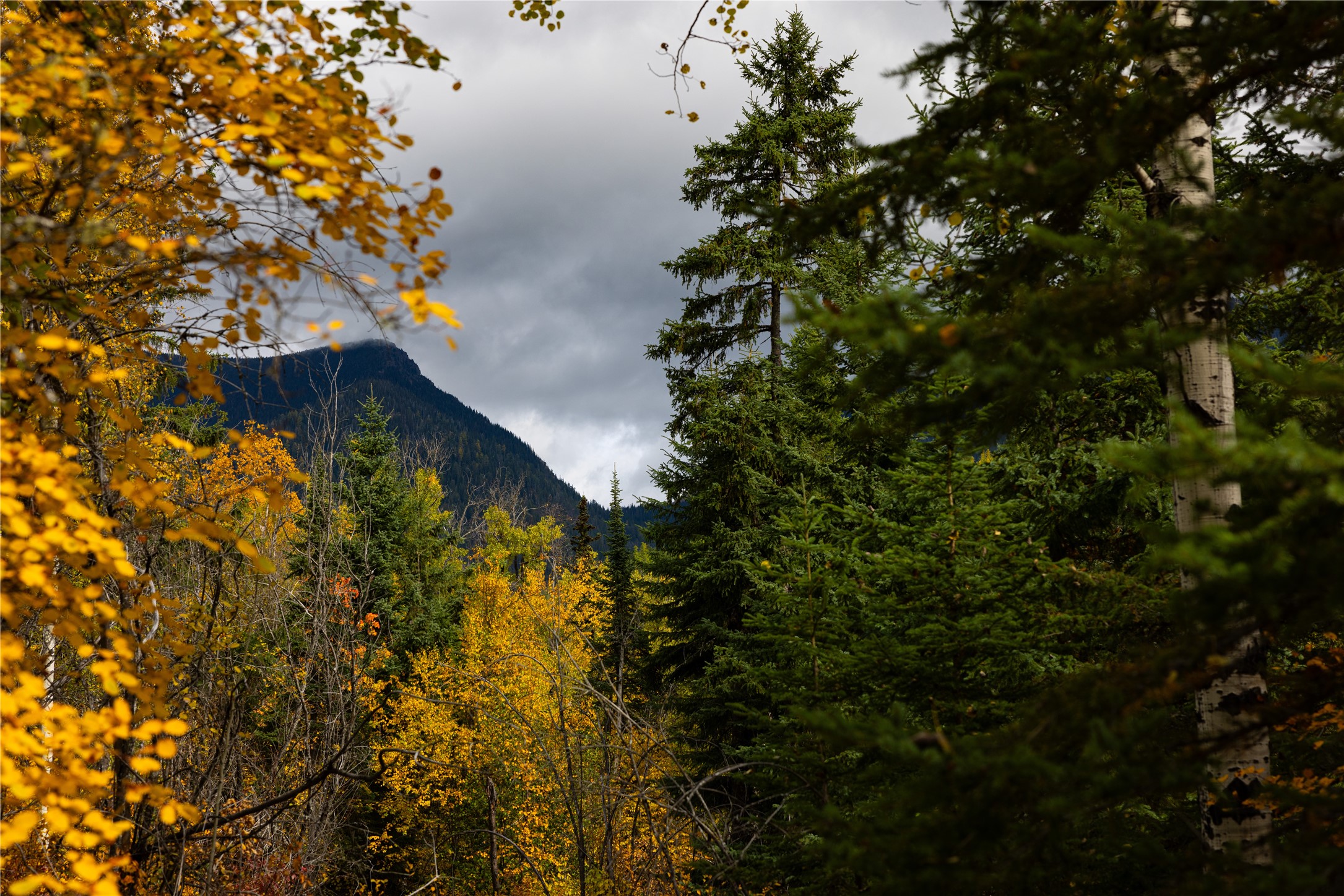 2400 Therriault Pass Road Unit: 230.179 Acres