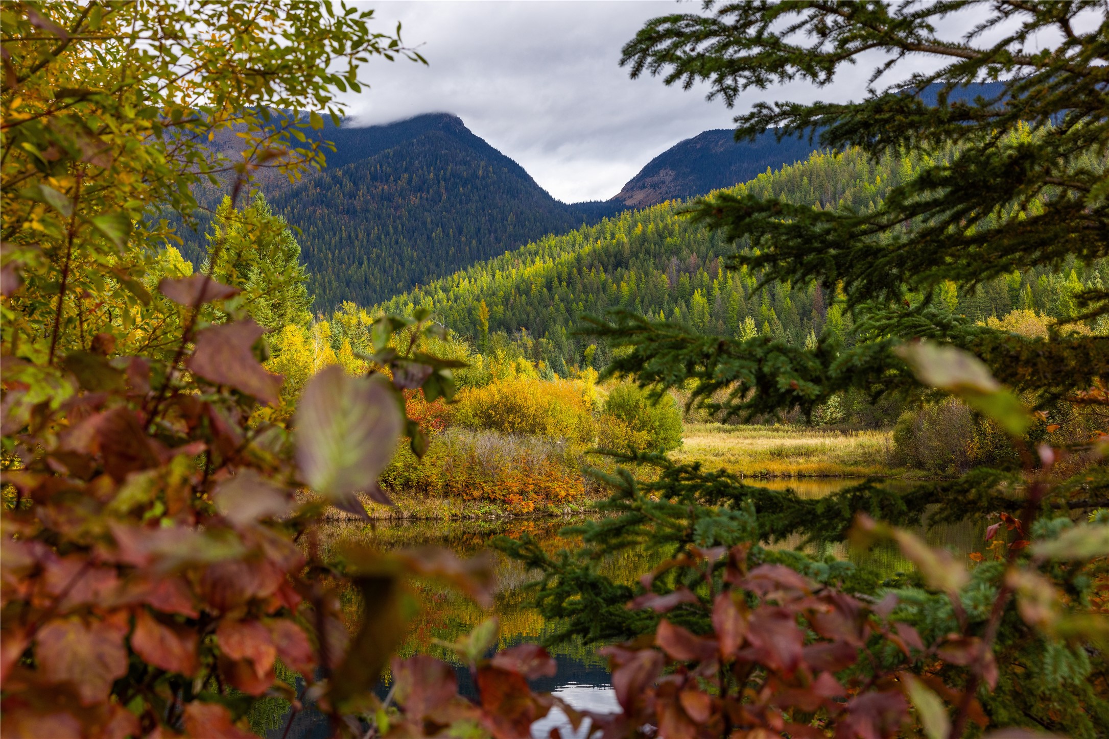 2400 Therriault Pass Road Unit: 230.179 Acres