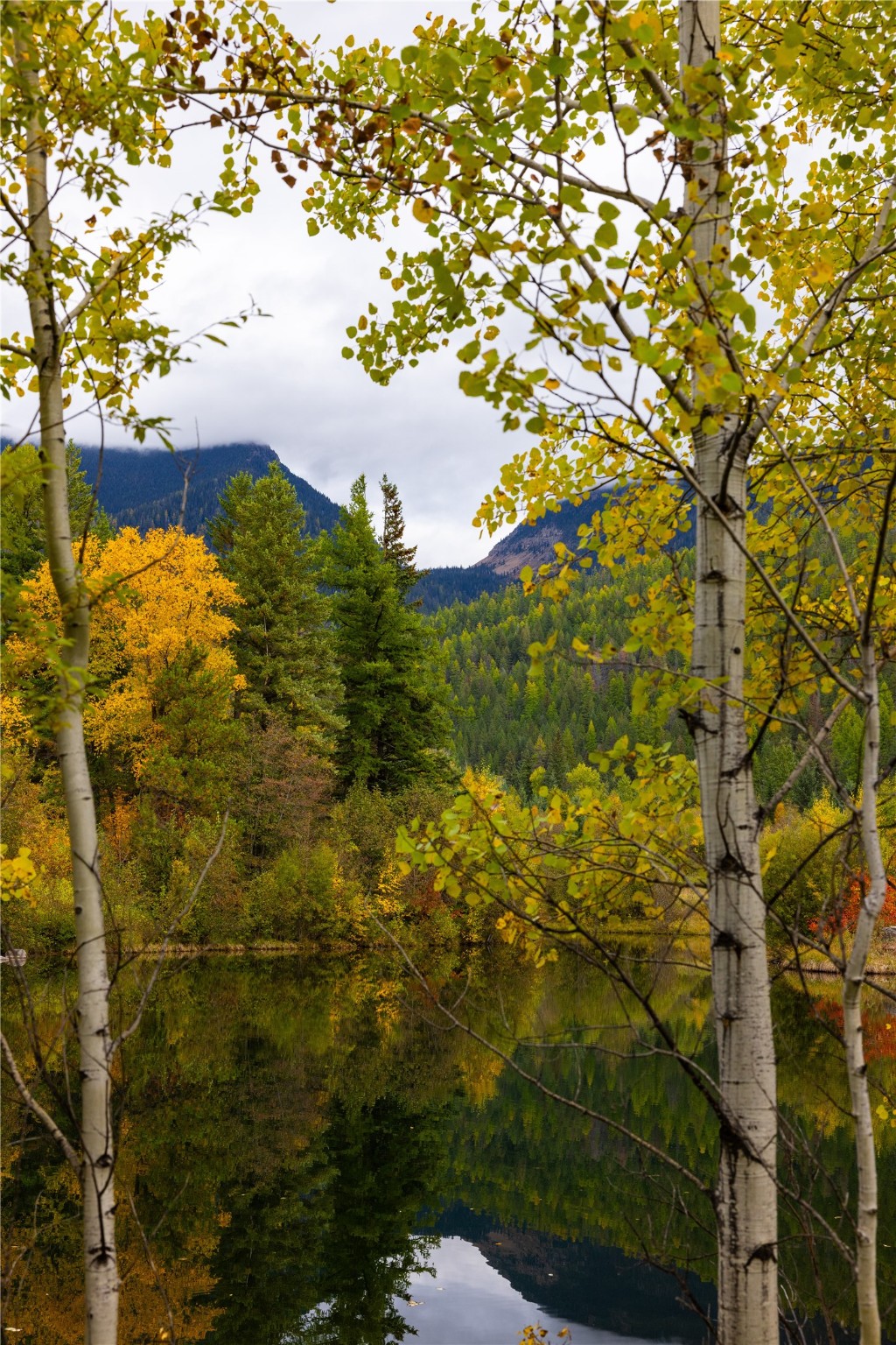 2400 Therriault Pass Road Unit: 230.179 Acres