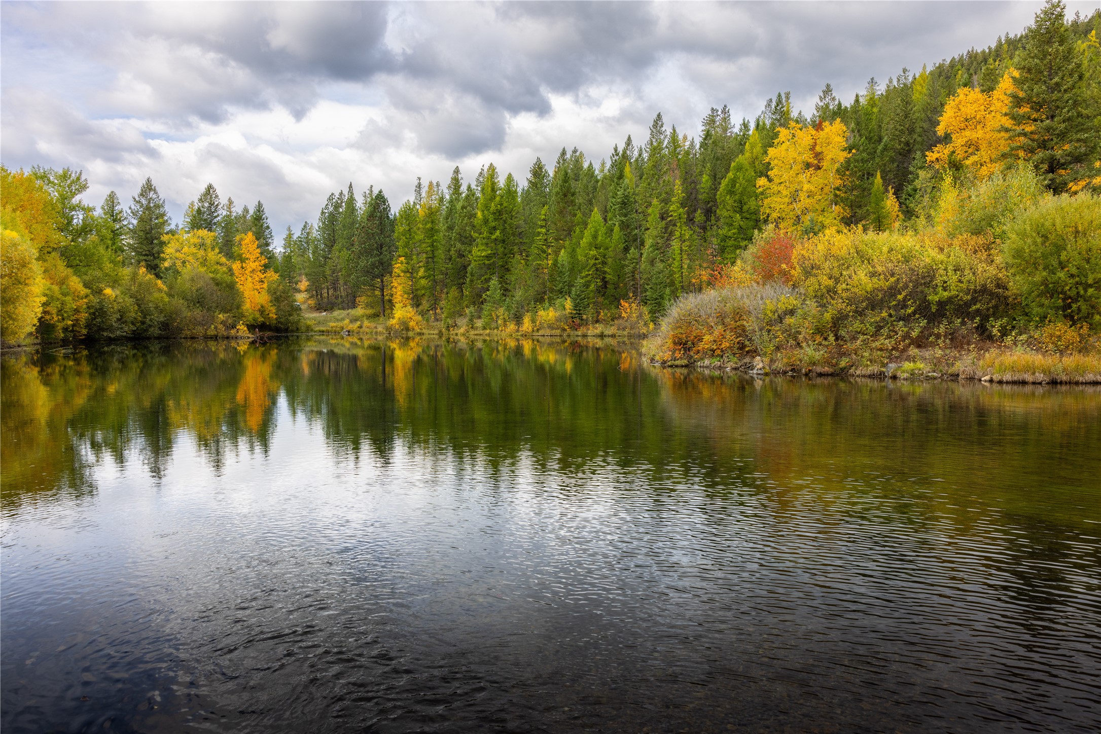 2400 Therriault Pass Road Unit: 230.179 Acres